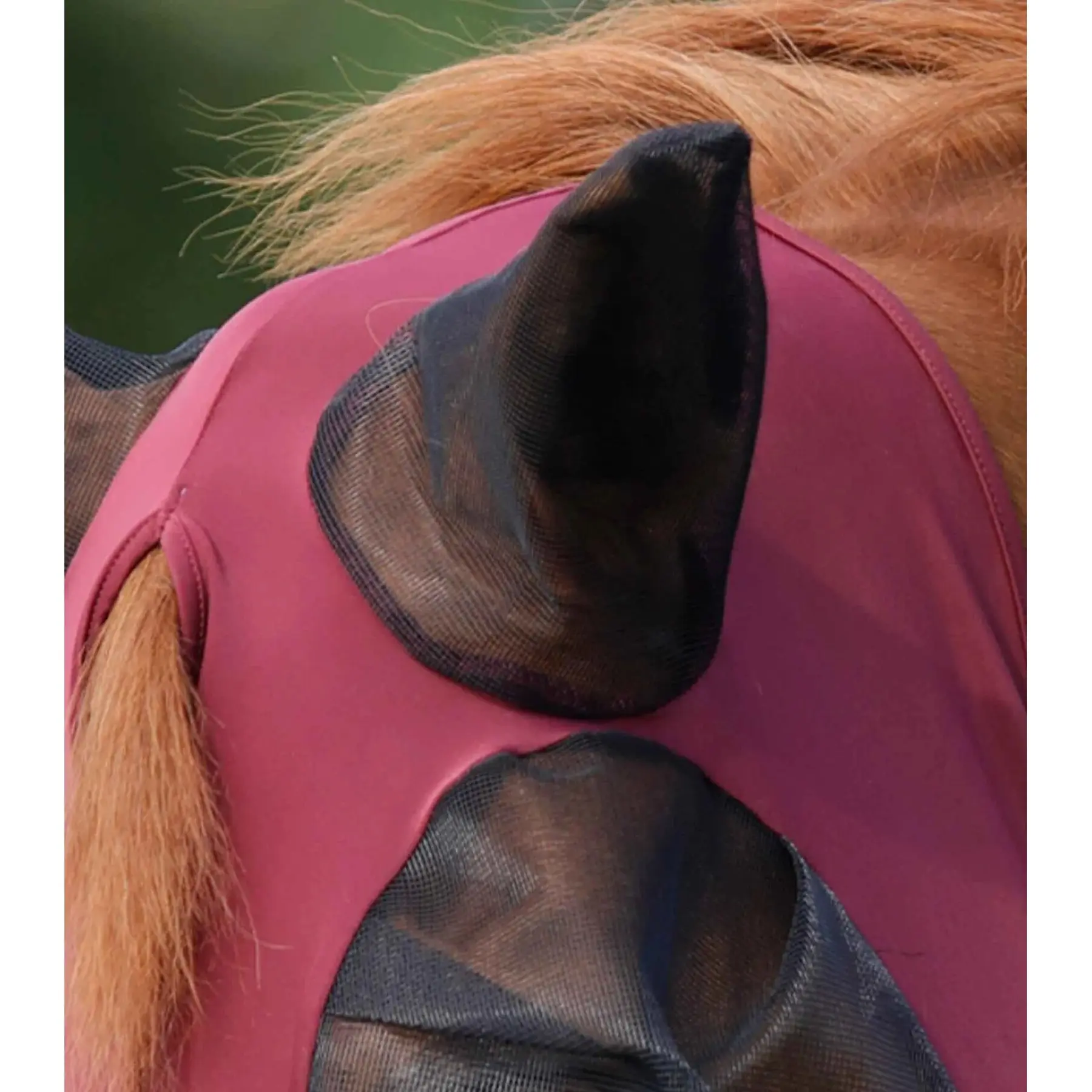 product/p/r/premier-equine_6300swne_2.jpg