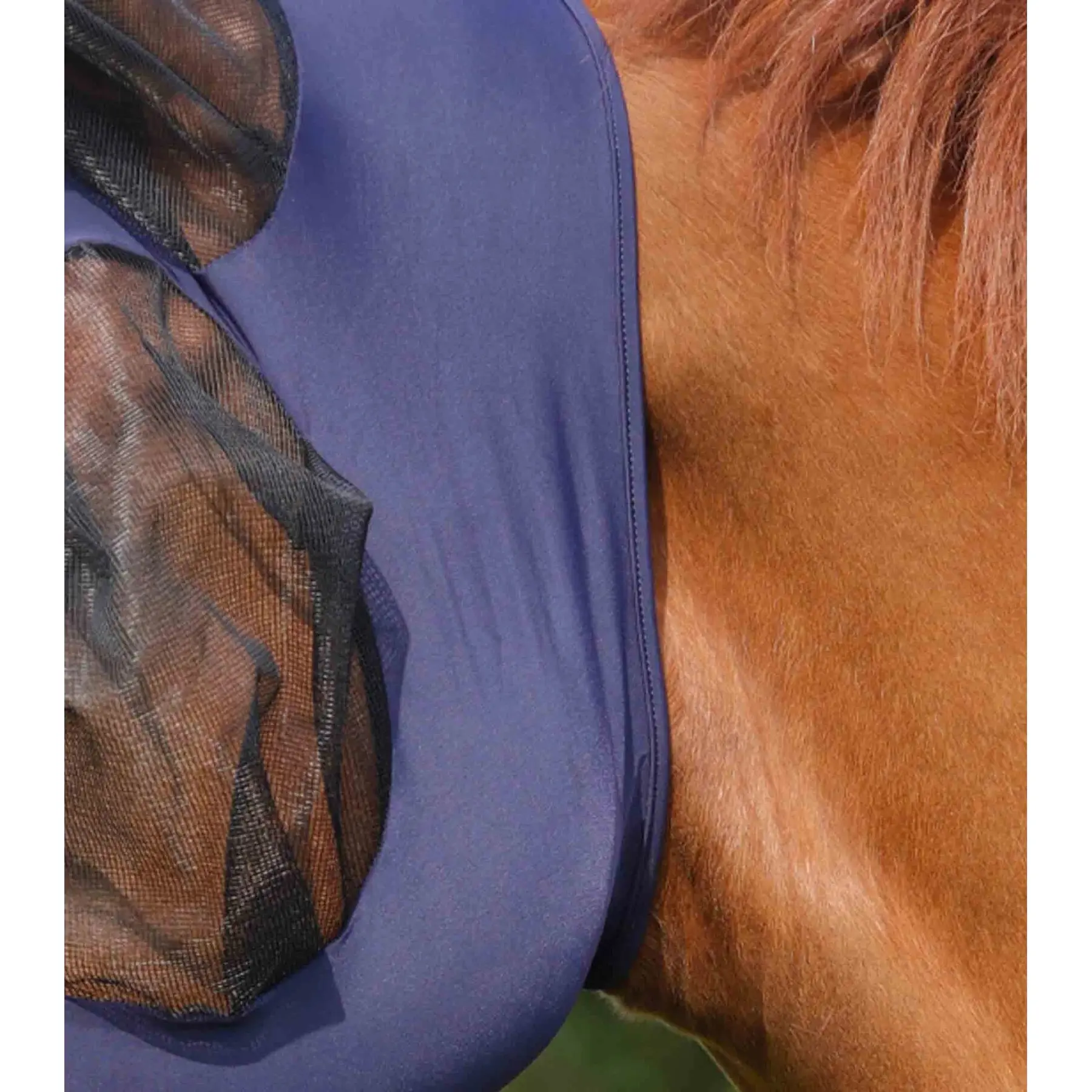 product/p/r/premier-equine_6301sn_3.jpg