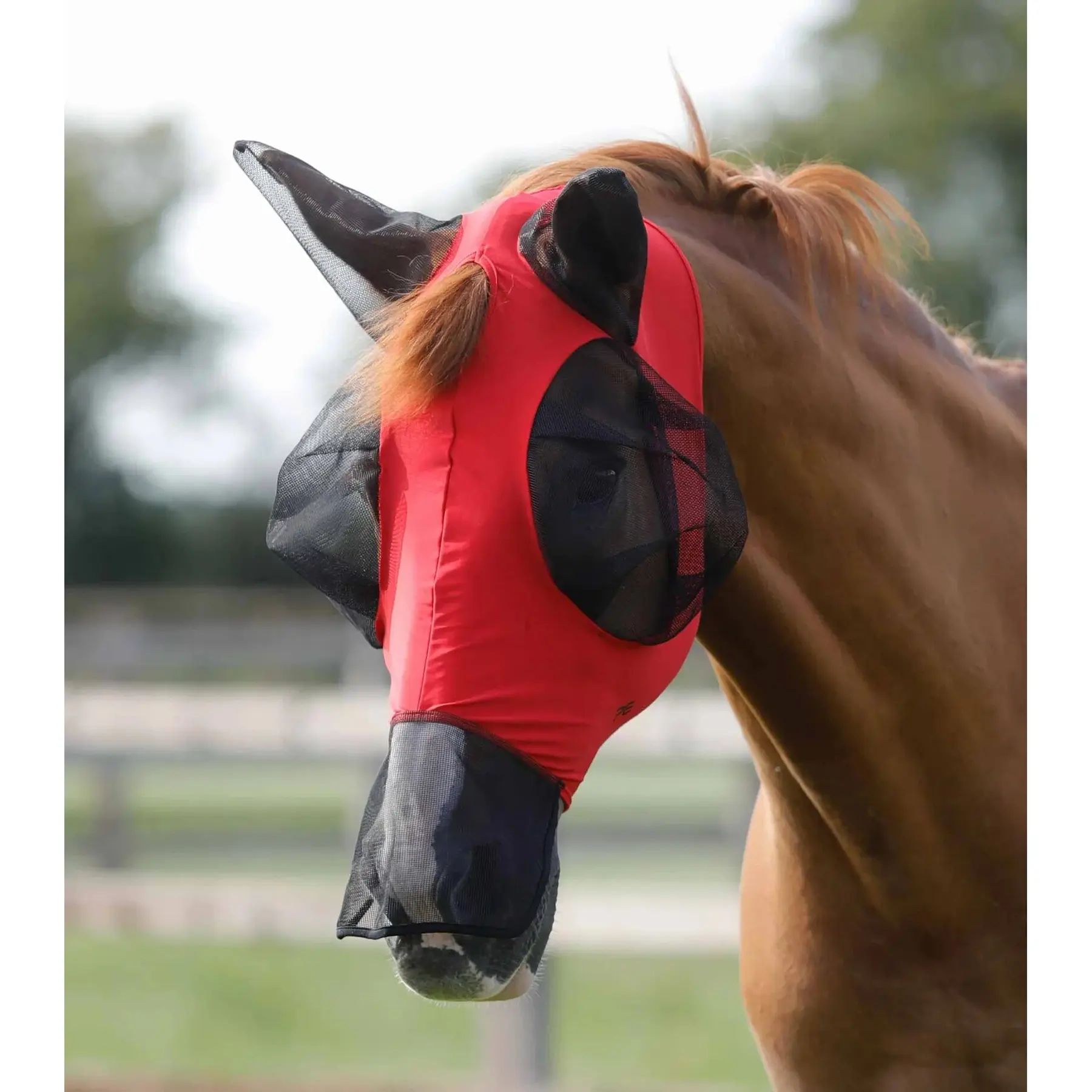 product/p/r/premier-equine_6301sr_1.jpg