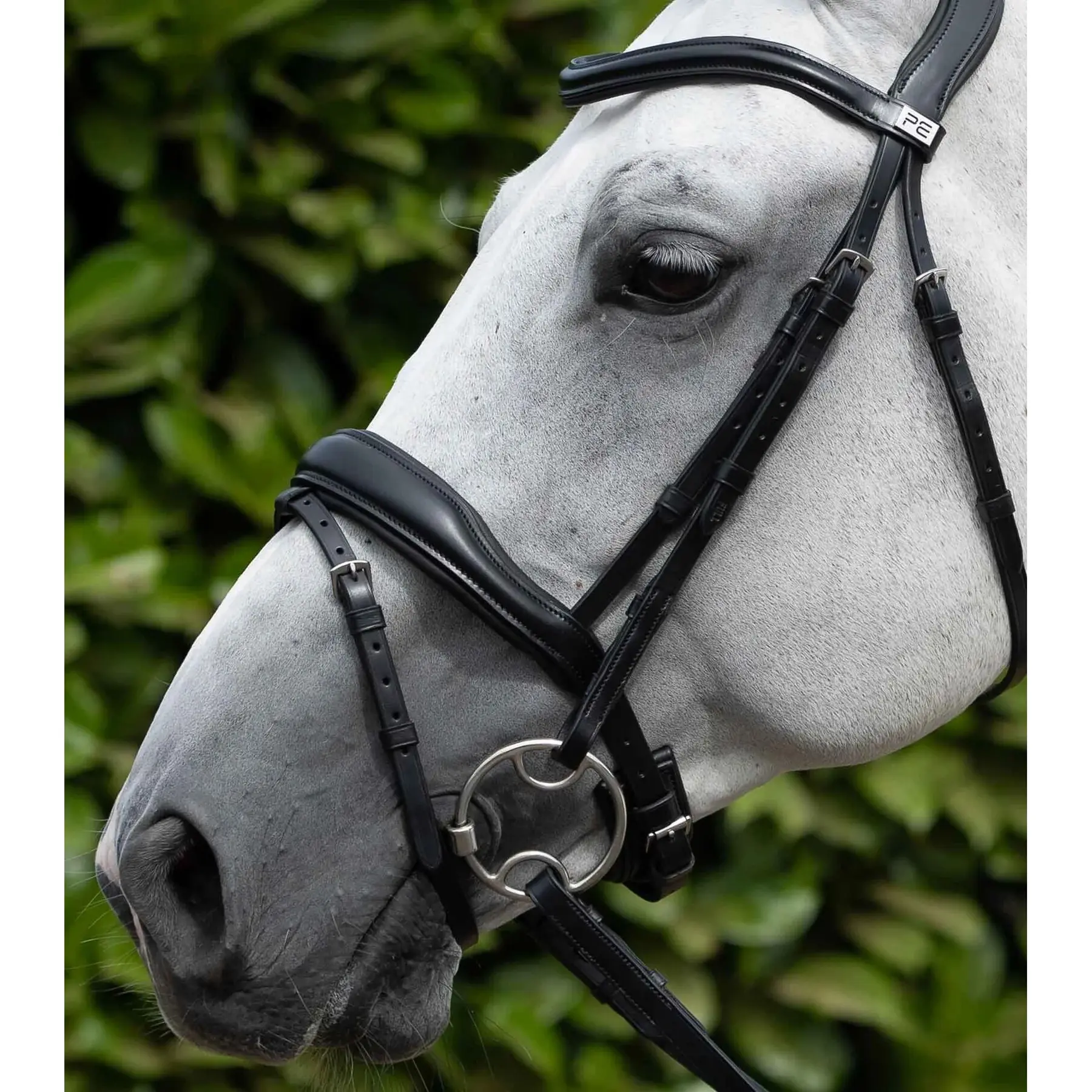Premier Equine Noir Pair Of Flange Posts