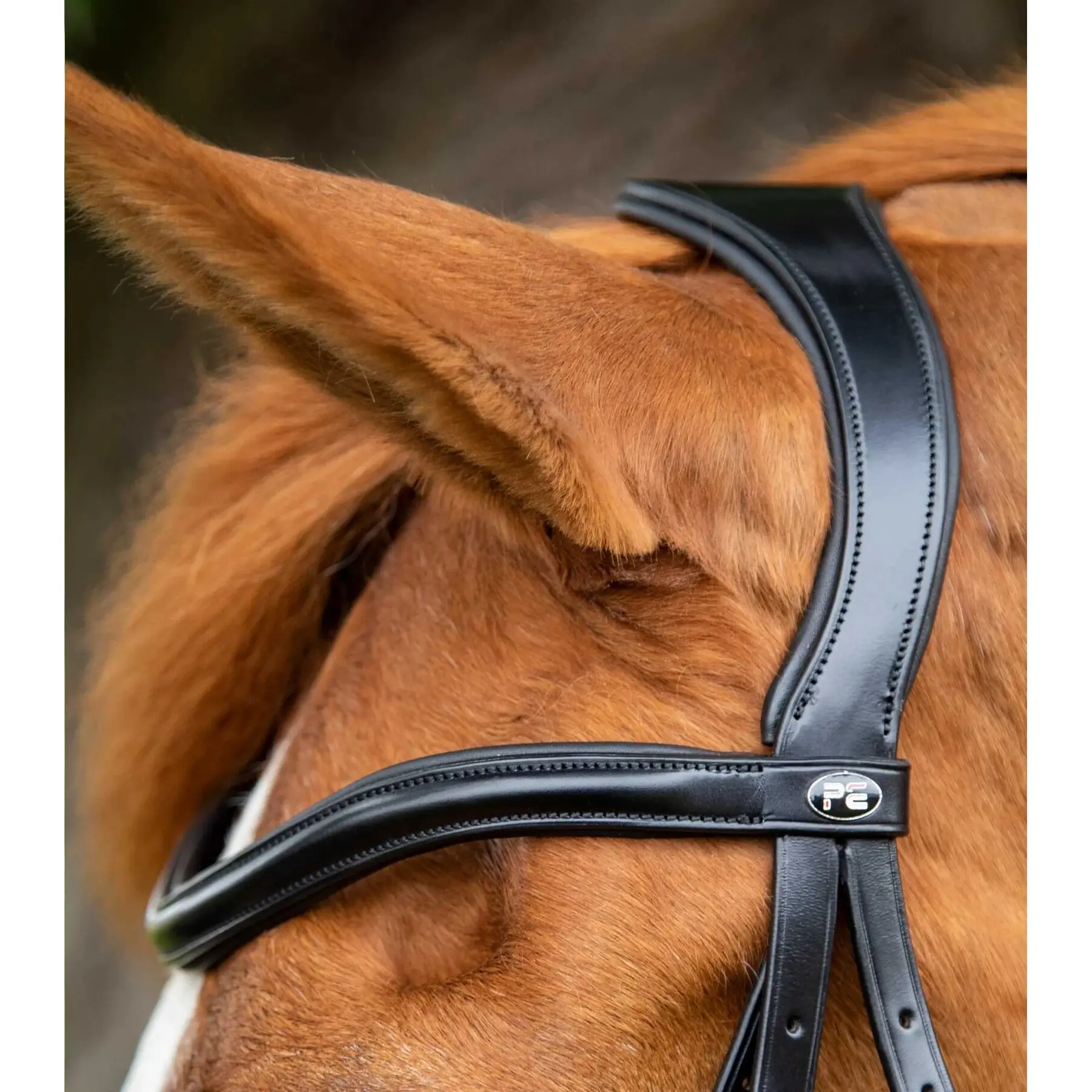 product/p/r/premier-equine_8016-pblk_2.jpg