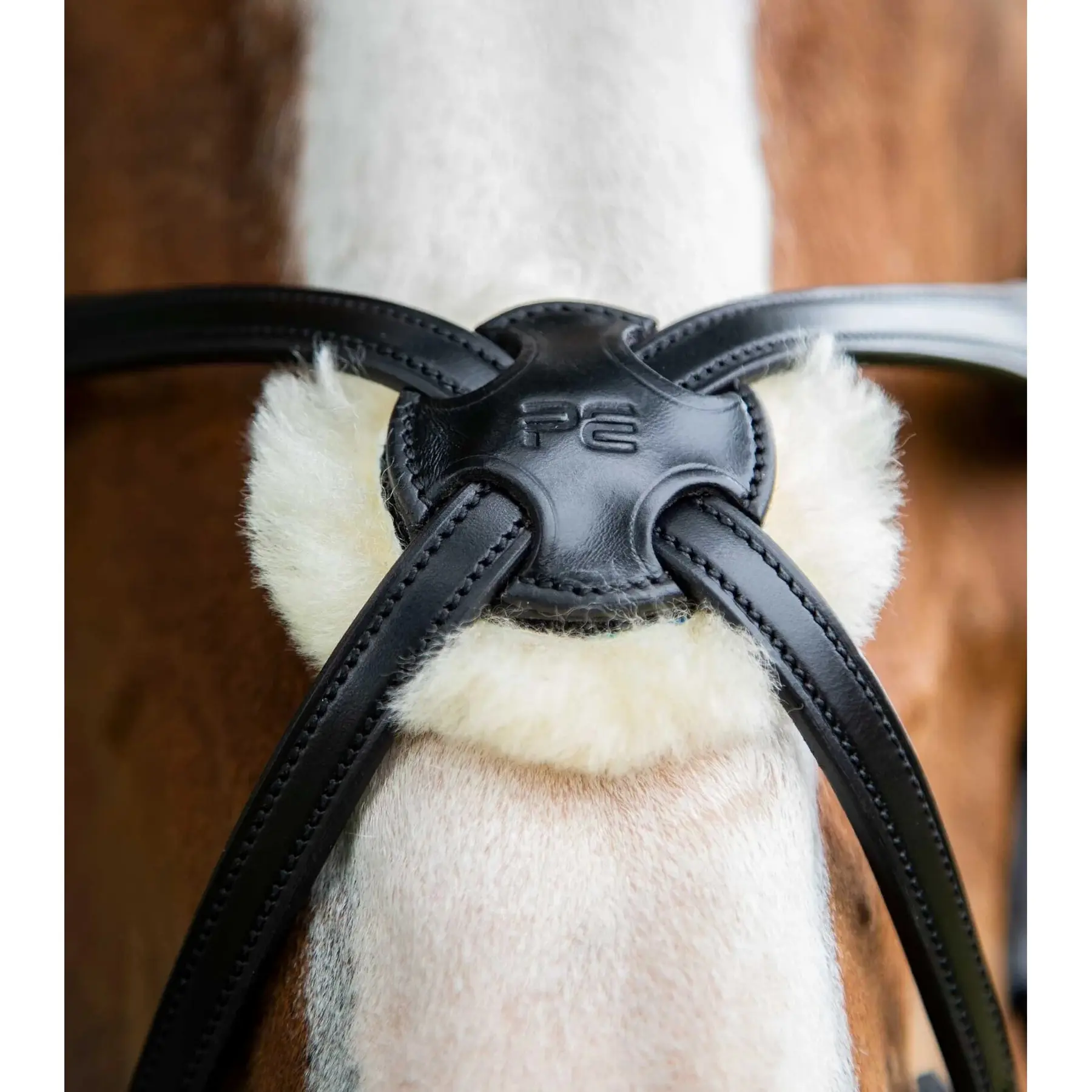 product/p/r/premier-equine_8016-pblk_3.jpg