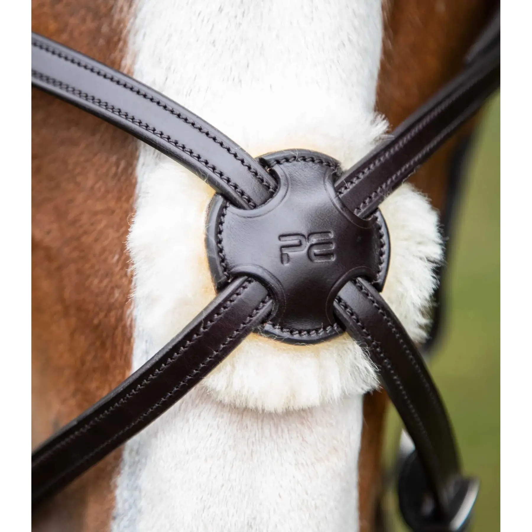 product/p/r/premier-equine_8016-pbrw_3.jpg