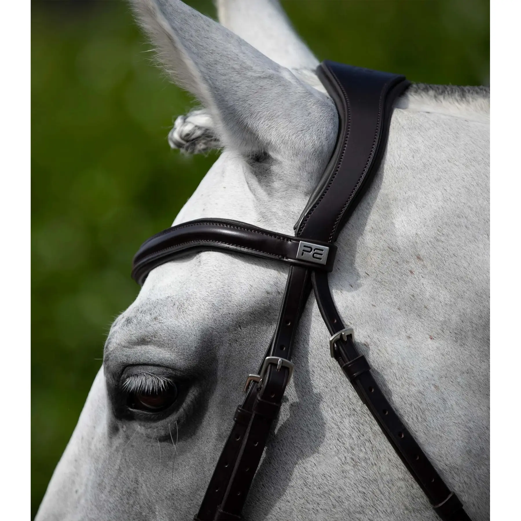 product/p/r/premier-equine_8018-cbrw_4.jpg