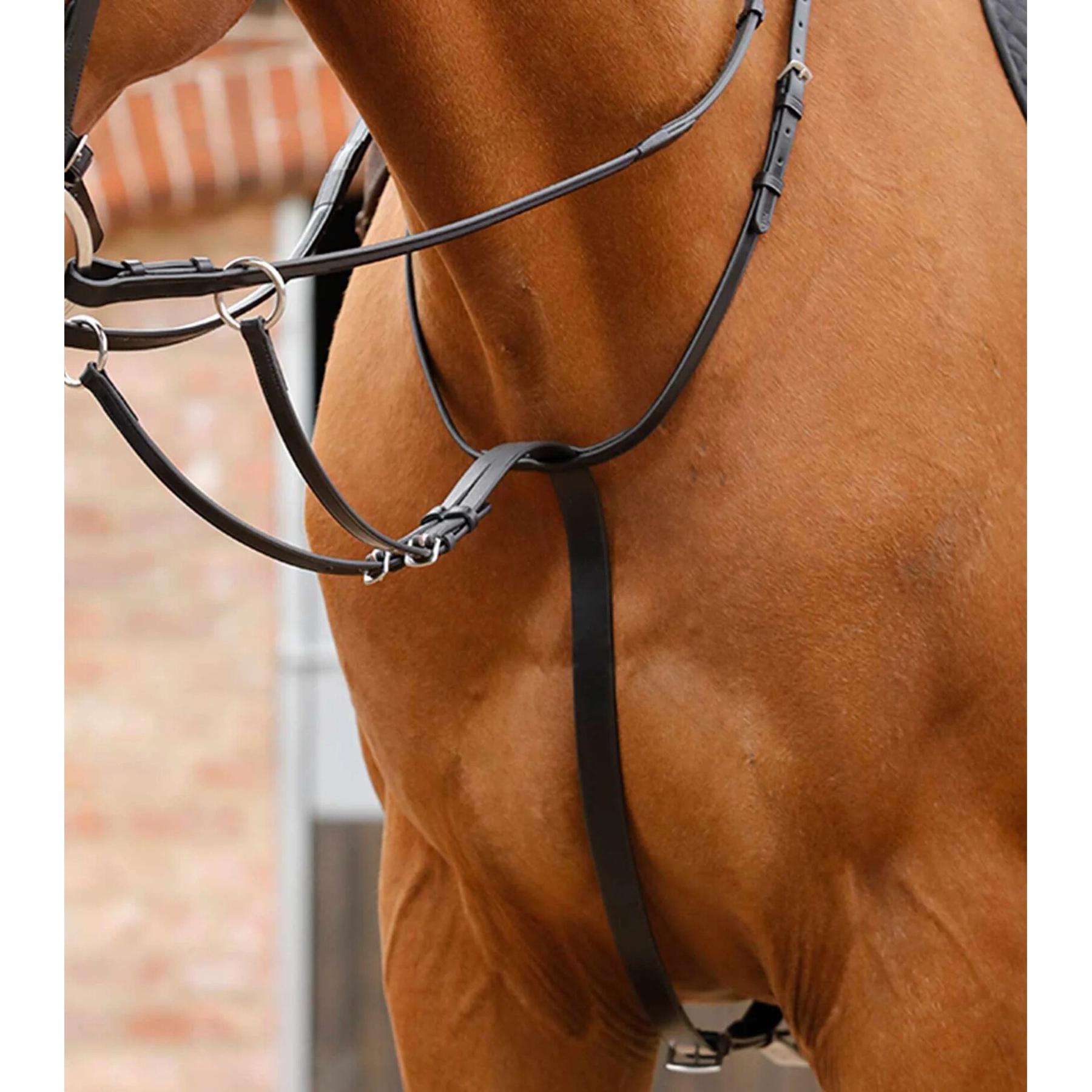 product/p/r/premier-equine_8027-cblk_2.jpg