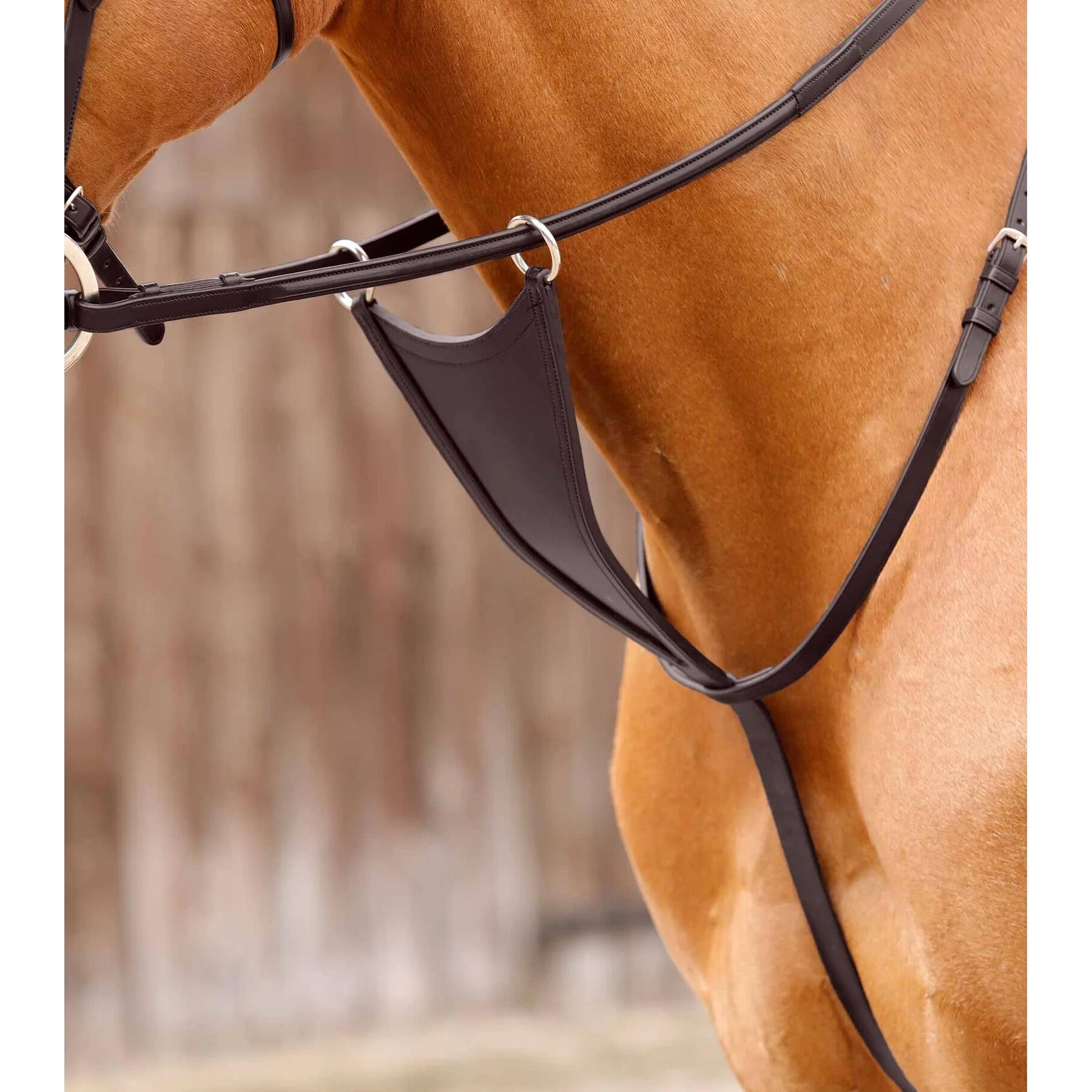 product/p/r/premier-equine_8029-cbrw_1.jpg