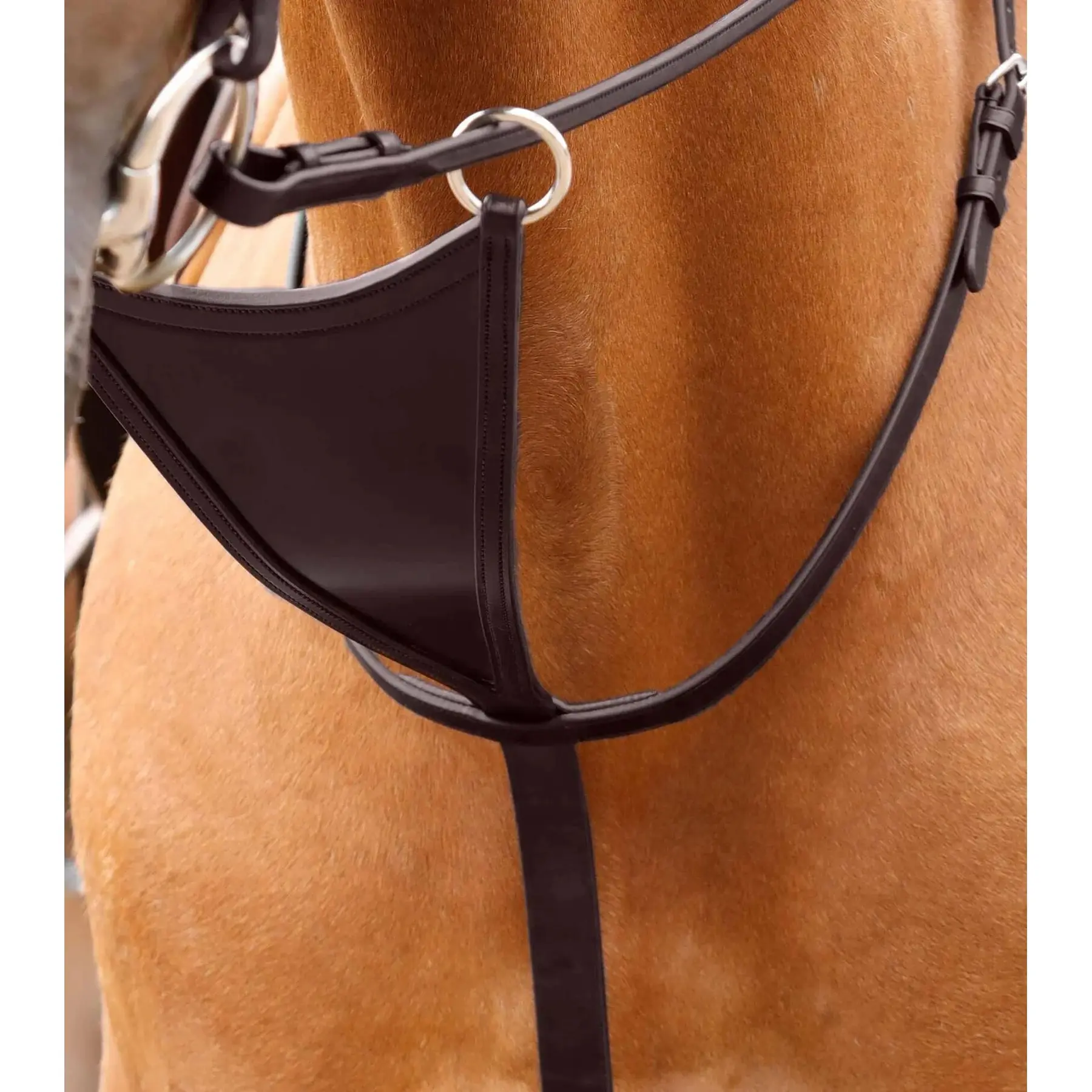 product/p/r/premier-equine_8029-cbrw_2.jpg