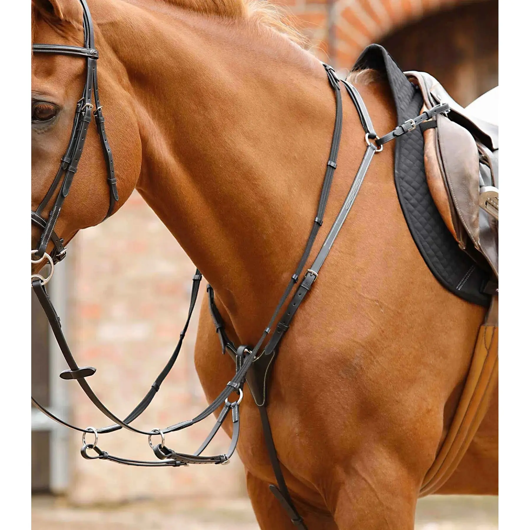 Premier Equine Noir Hunting Collar For Horse Norbello