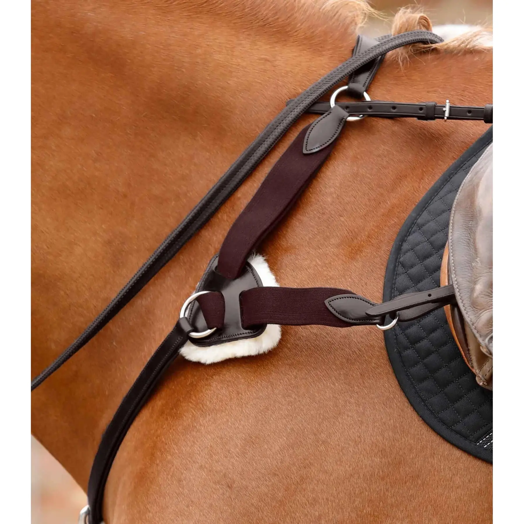 Bride De Chasse Lemieux Sur Mesure – Rênes Lacets – Cousue Main – Qualité Pro