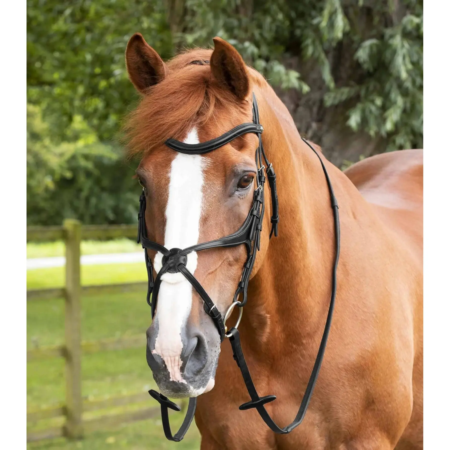 Comparer les prix de Rênes en caoutchouc Premier Equine Diego Pony 50"