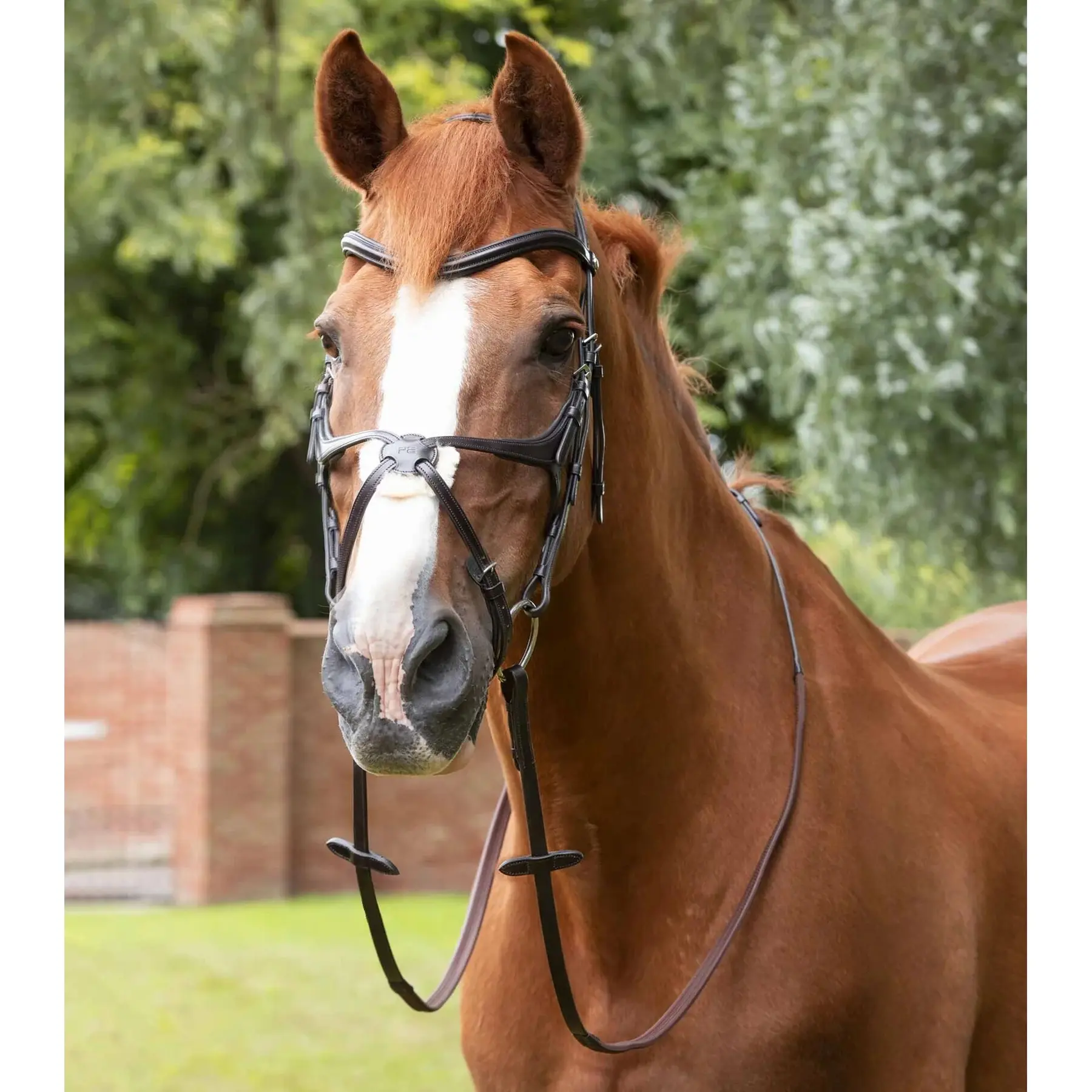 Comparer les prix de Rênes en caoutchouc Premier Equine Diego Pony 50"