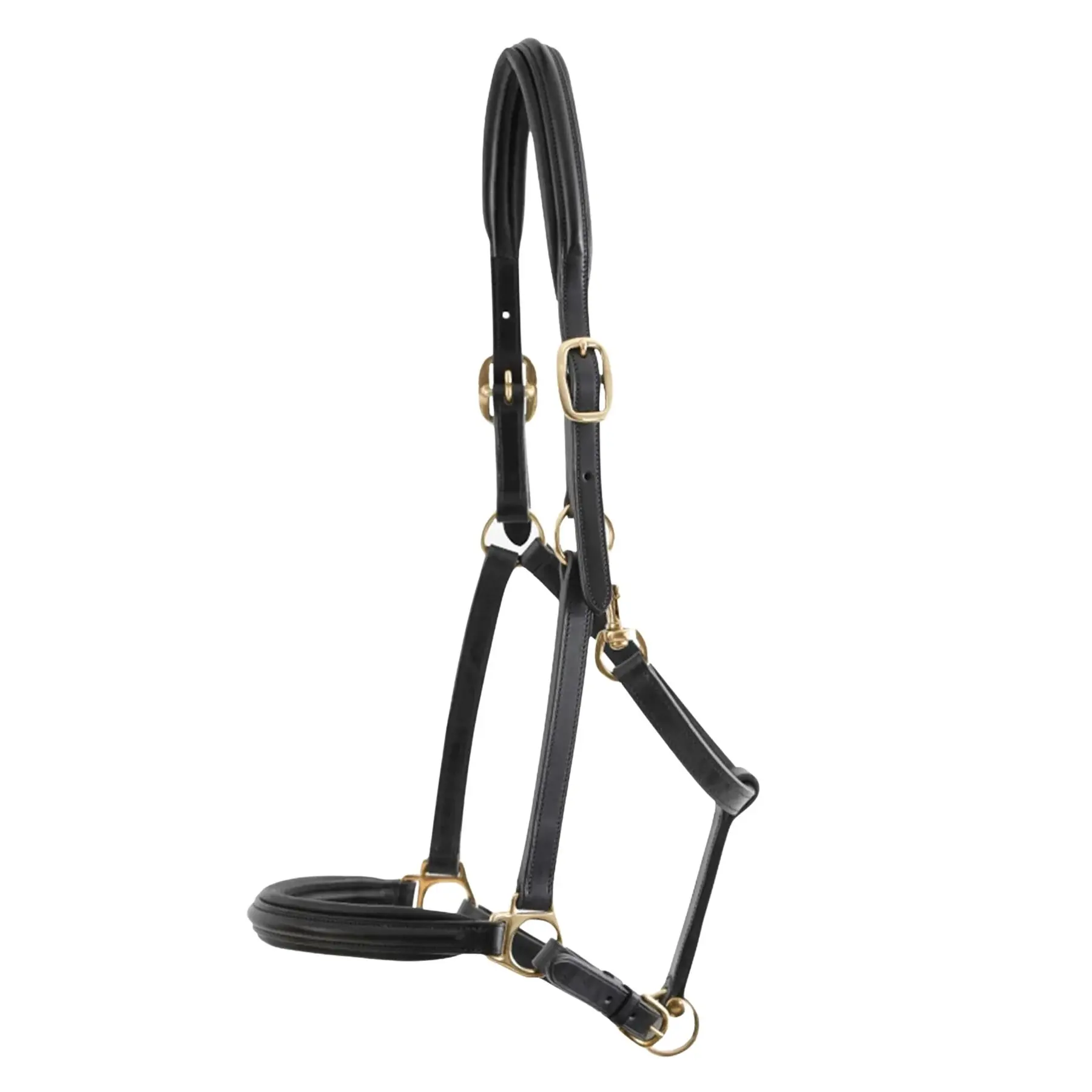 Premier Equine Noir Leather Padded Horse Halter