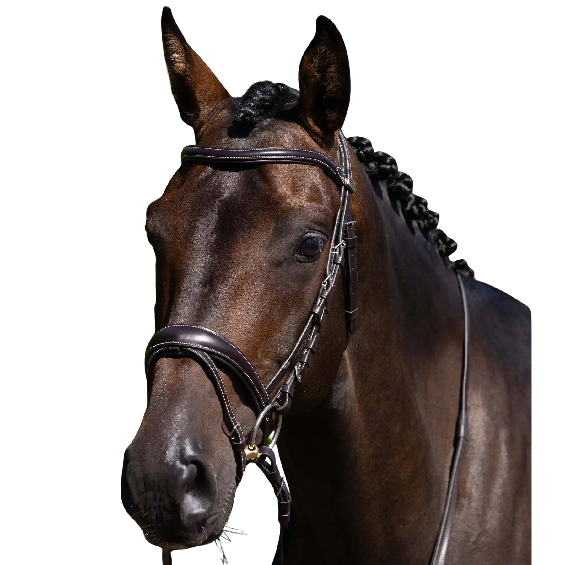 Comparer les prix de Rênes pour cheval Premier Equine Cassano