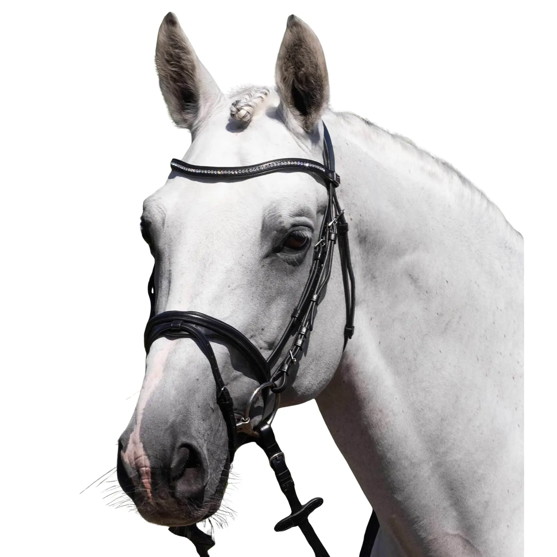 Premier Equine Noir Riding Bridle Rivere