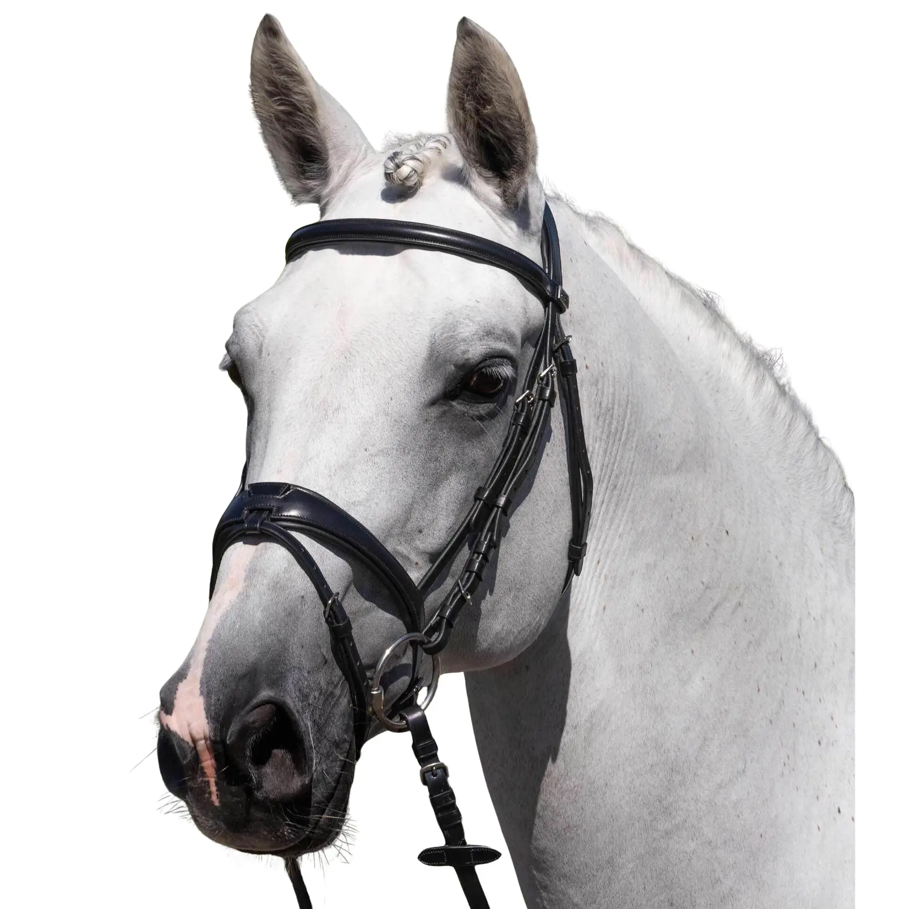 Premier Equine Noir Riding Bridle Artana