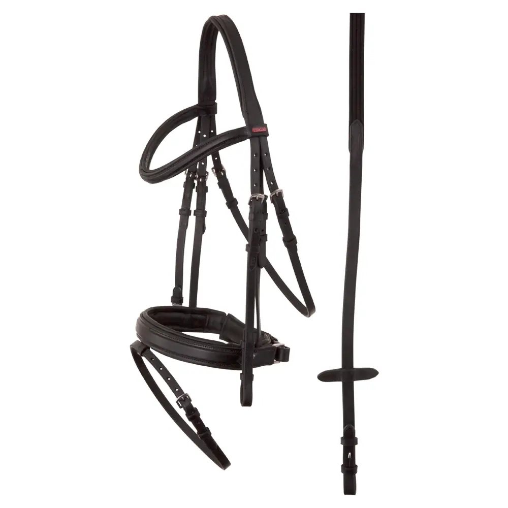 Comparer les prix de Bridons équitation anatomique Premiere Toulon