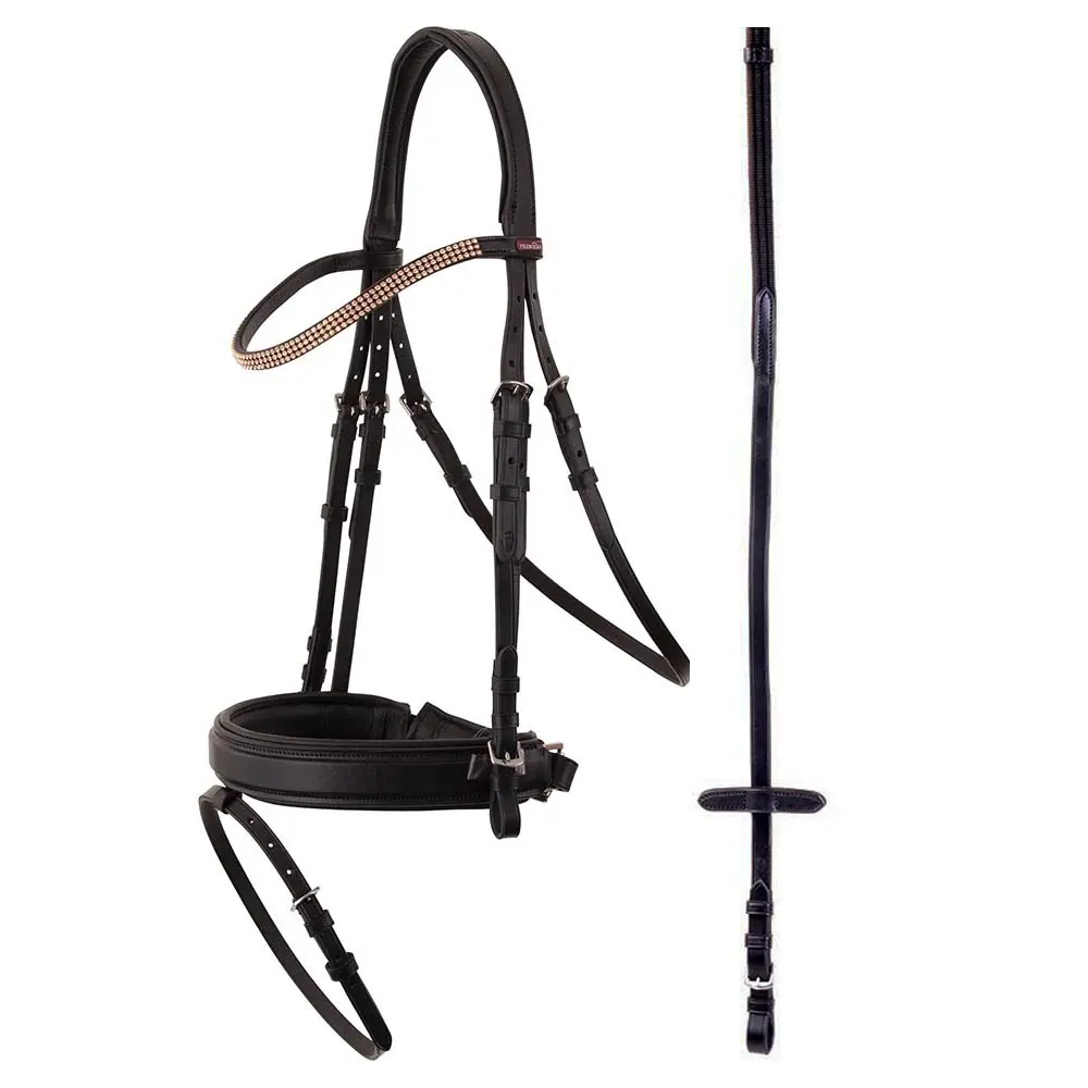 Comparer les prix de Bridons équitation anatomique Premiere Dijon