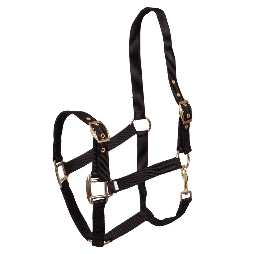 Premiere Noir Polypropylene Halter Equitation