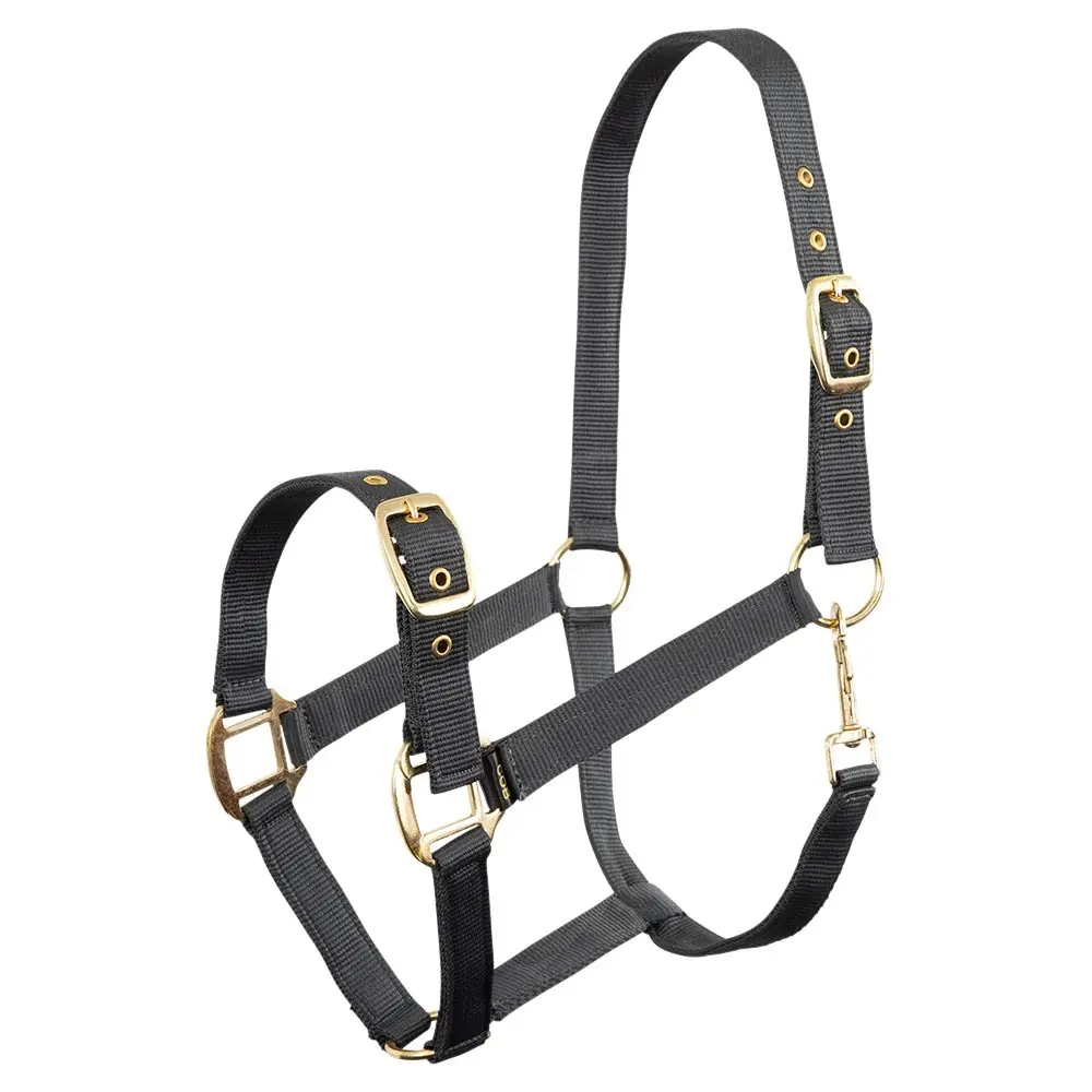 Premiere Gris Polypropylene Halter Equitation