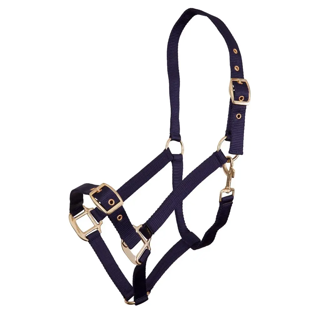 Premiere Bleu Polypropylene Halter Equitation