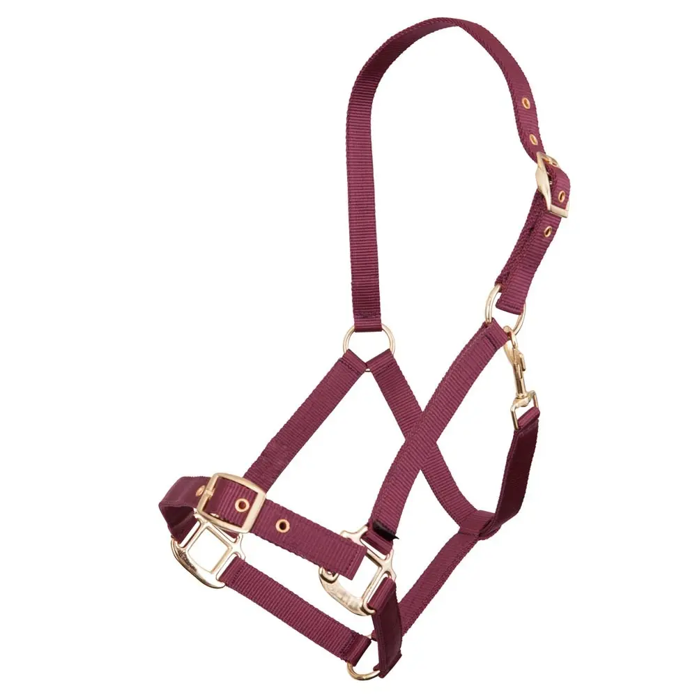Premiere Rouge Polypropylene Halter Equitation