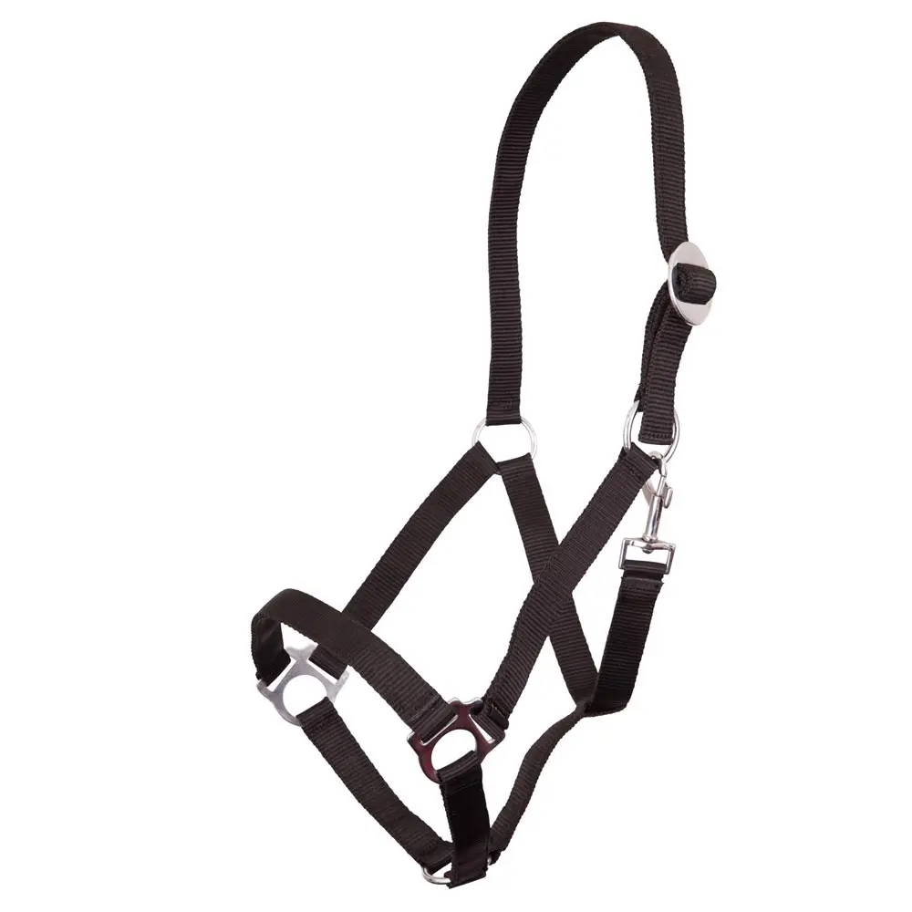 Premiere Noir Propylene Horse Halter Equitation