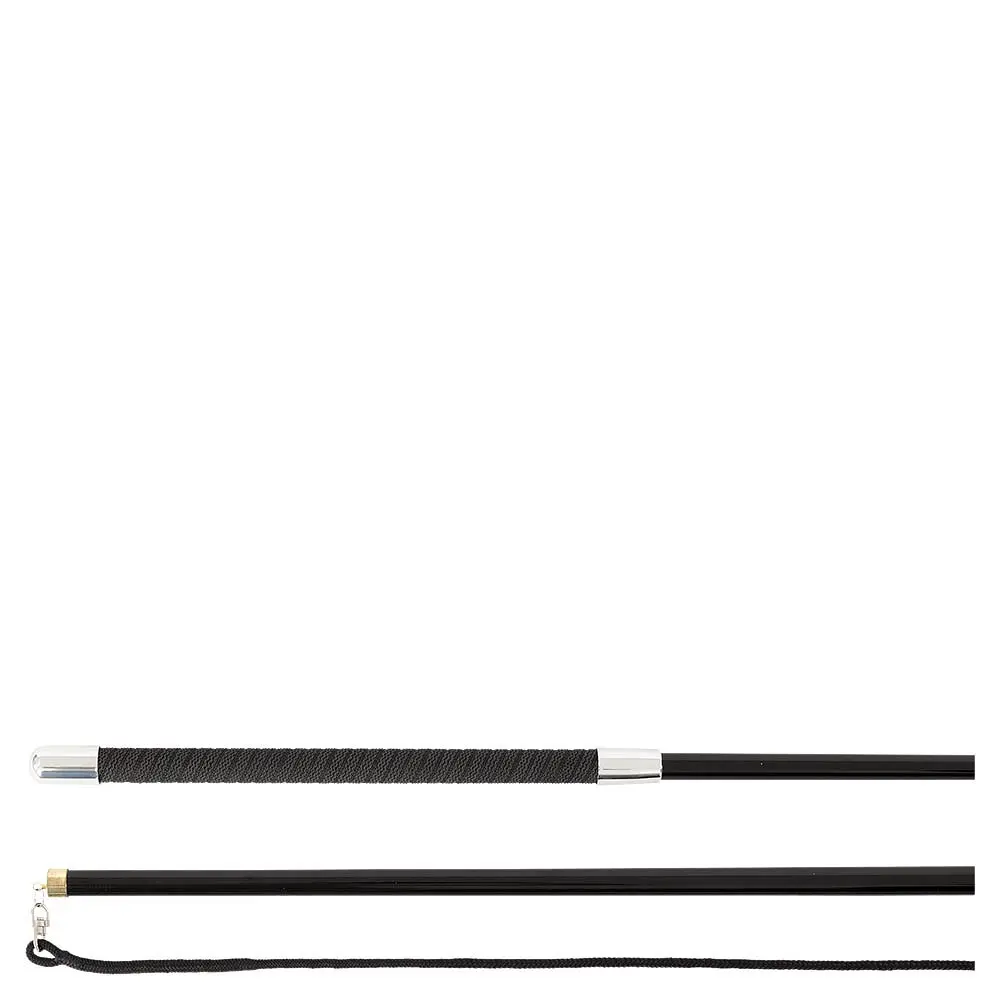 Meilleurs prix pour Chambrière équitation Premiere Premiere