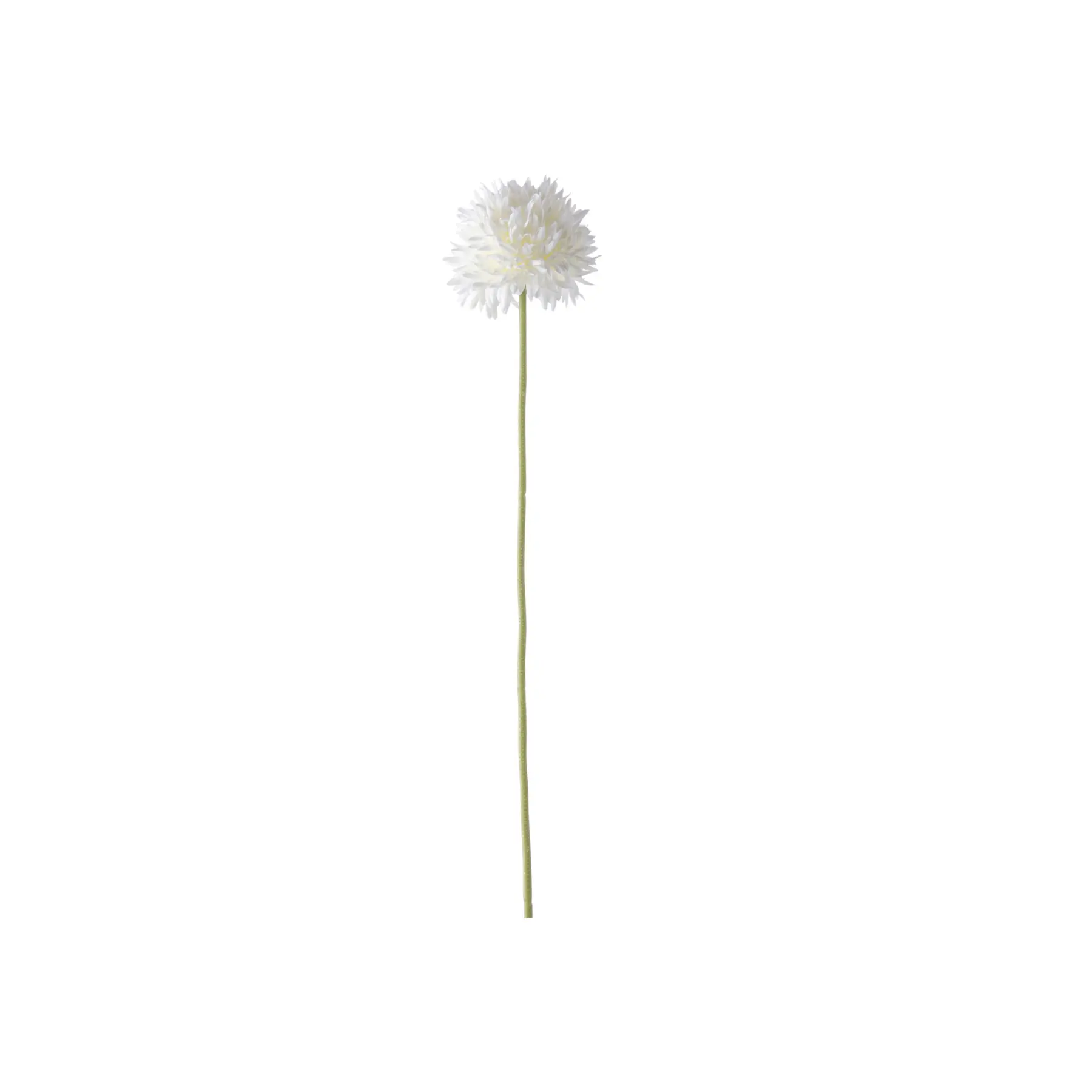 Present Time Blanc Artificial Flowers Single Spring