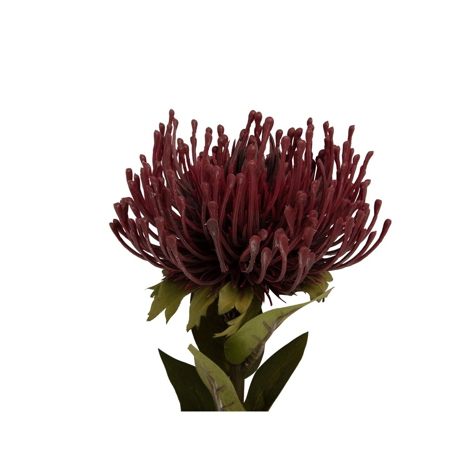 8714302146176 - Künstliche Pflanze Protea Flower Small