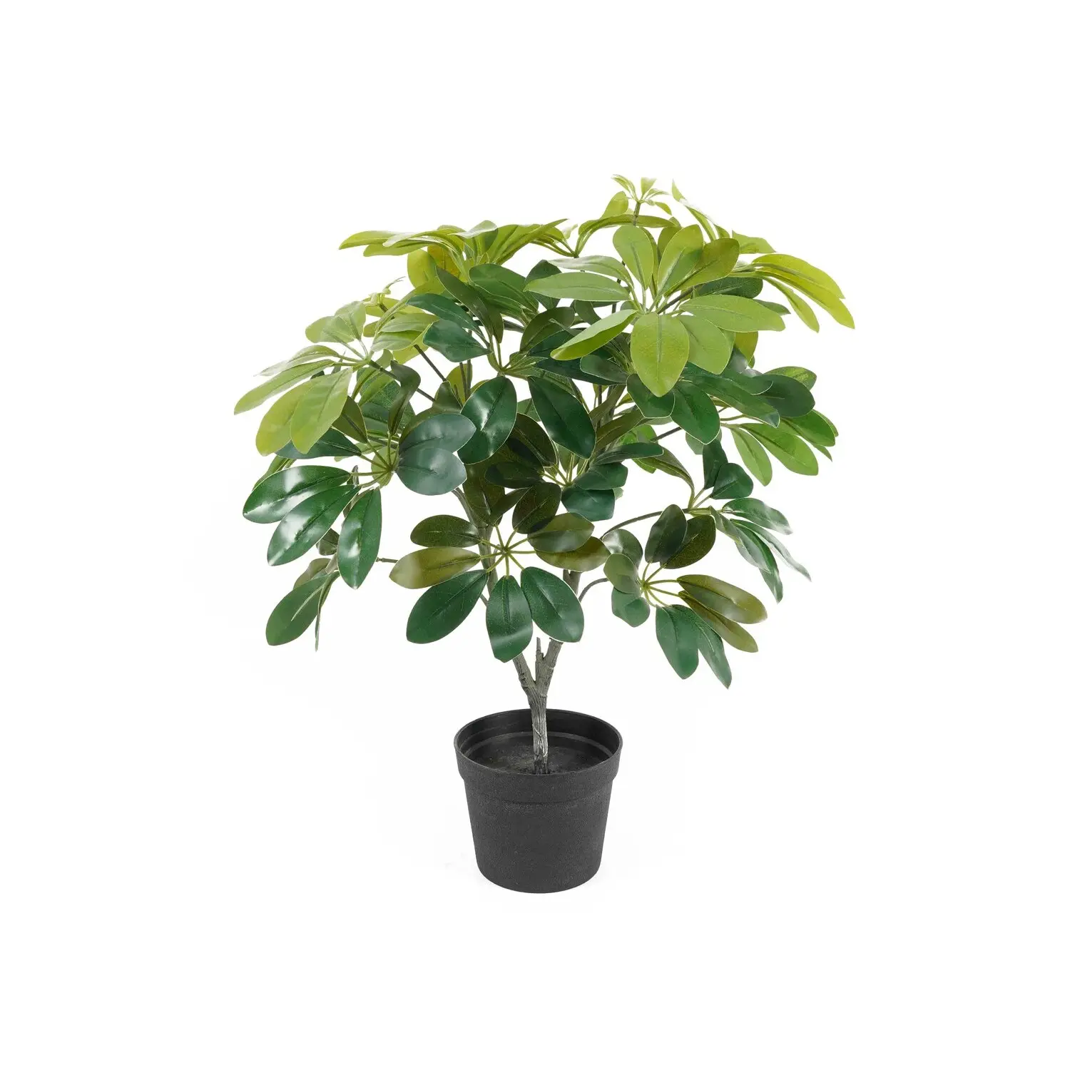 Present Time Vert Artificial Plant Shefflera