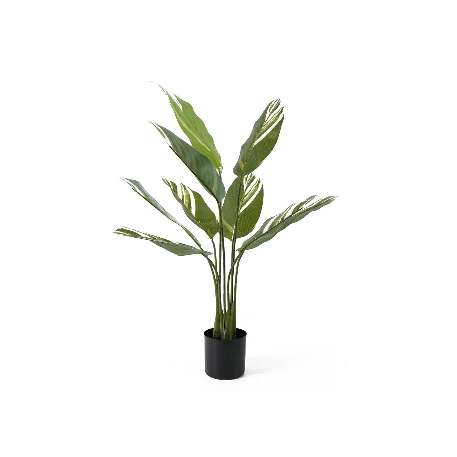 8714302735660 - Künstliche Pflanze Calathea W