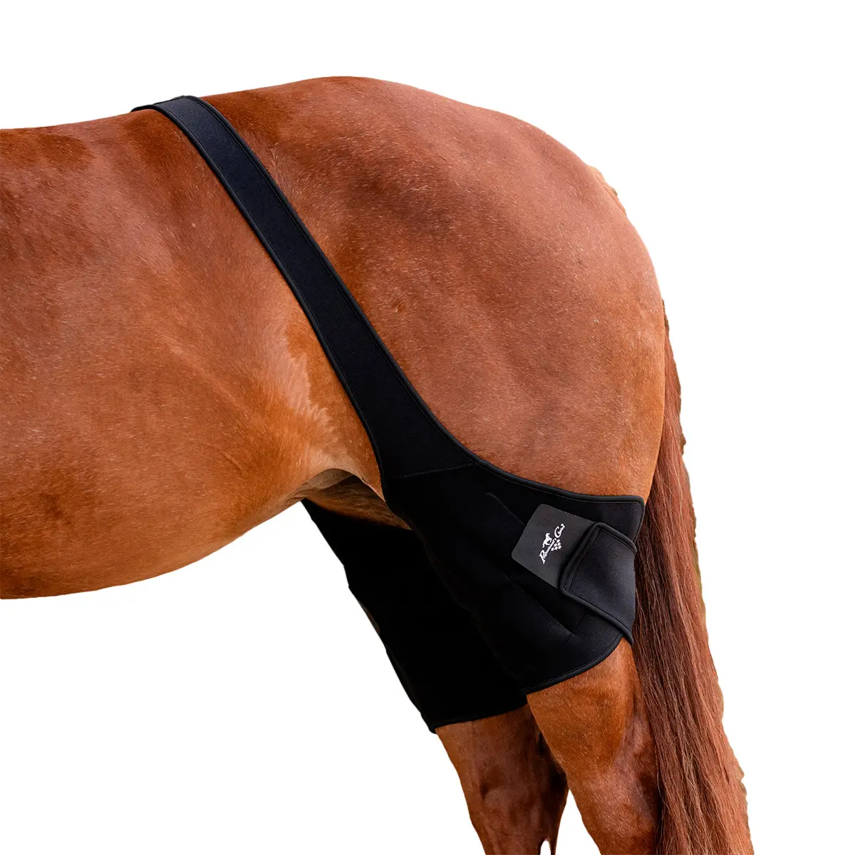 Comparer les prix de Bandage élastique pour cheval Professional's Choice