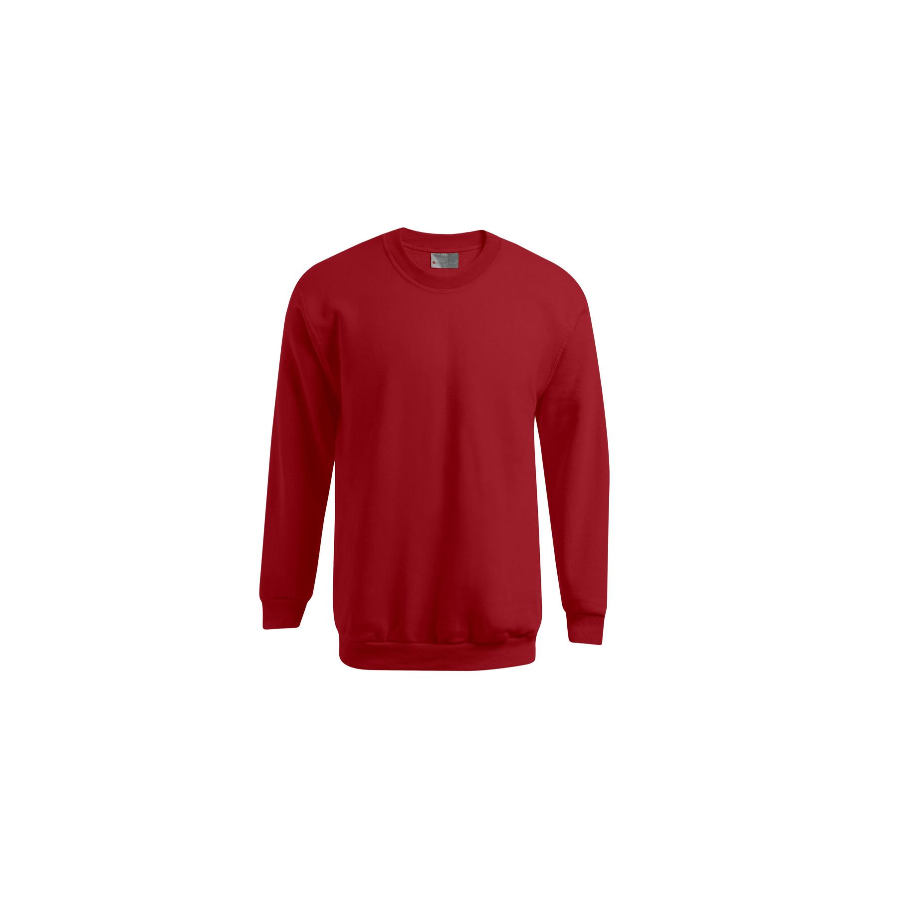 4250484239601 - Pullover Promodoro