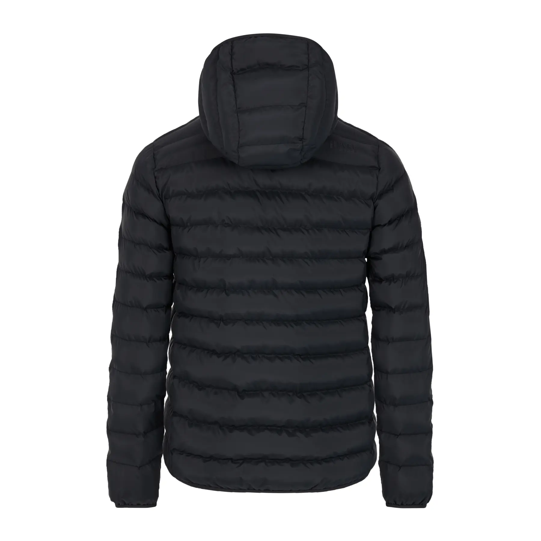 Protest's Basso Puffer