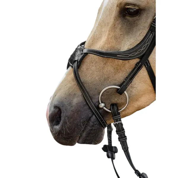 Meilleurs prix pour Muserolle cheval PS of Sweden Mexican Pro