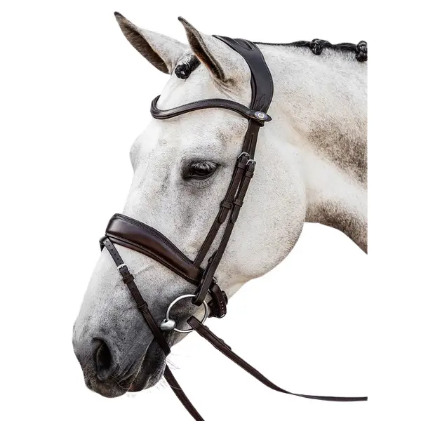 Meilleurs prix pour Bridon équitation PS of Sweden Flying Change