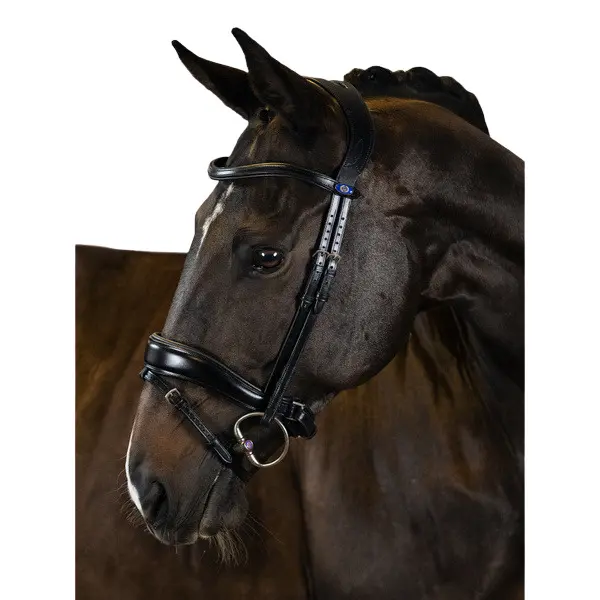 Meilleurs prix pour Bridon équitation PS of Sweden Flying Change