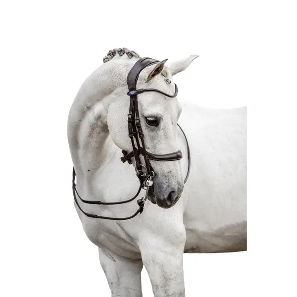 Comparer les prix de Bridon double équitation PS of Sweden Paragon