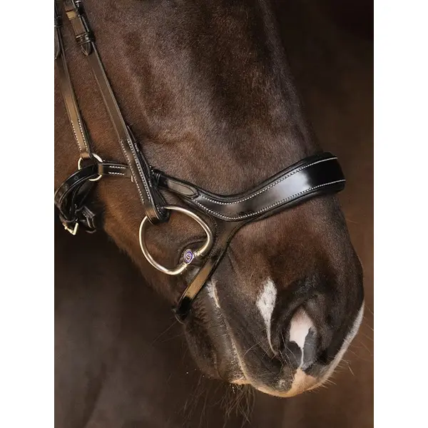 Muserolle cheval PS of Sweden Pioneer
