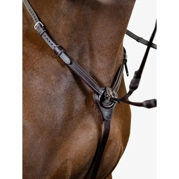 Meilleurs prix pour Martingale pour cheval PS of Sweden Seoul