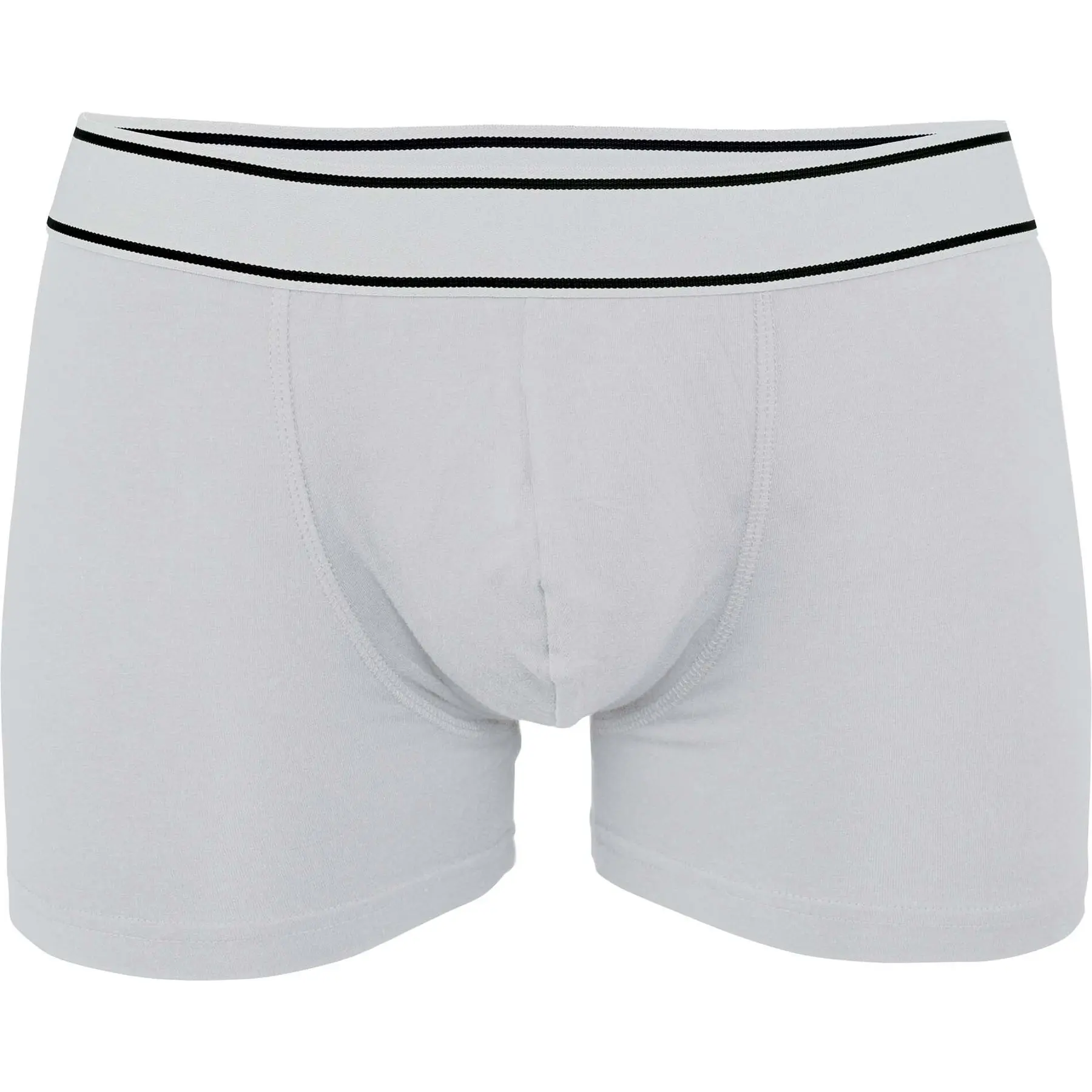 Boxer Kariban