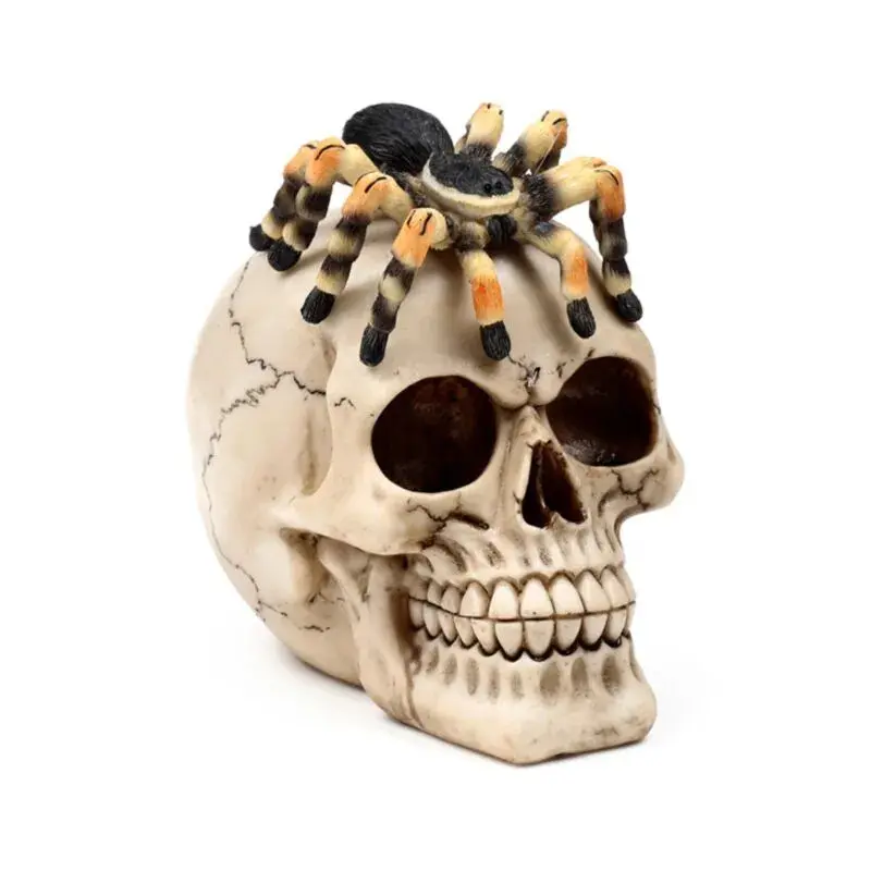 Puckator Blanc Decorative Skull Figurine With Spider