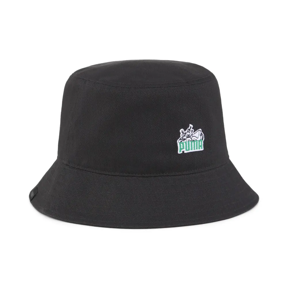 Image of Bob Damen Puma Skate