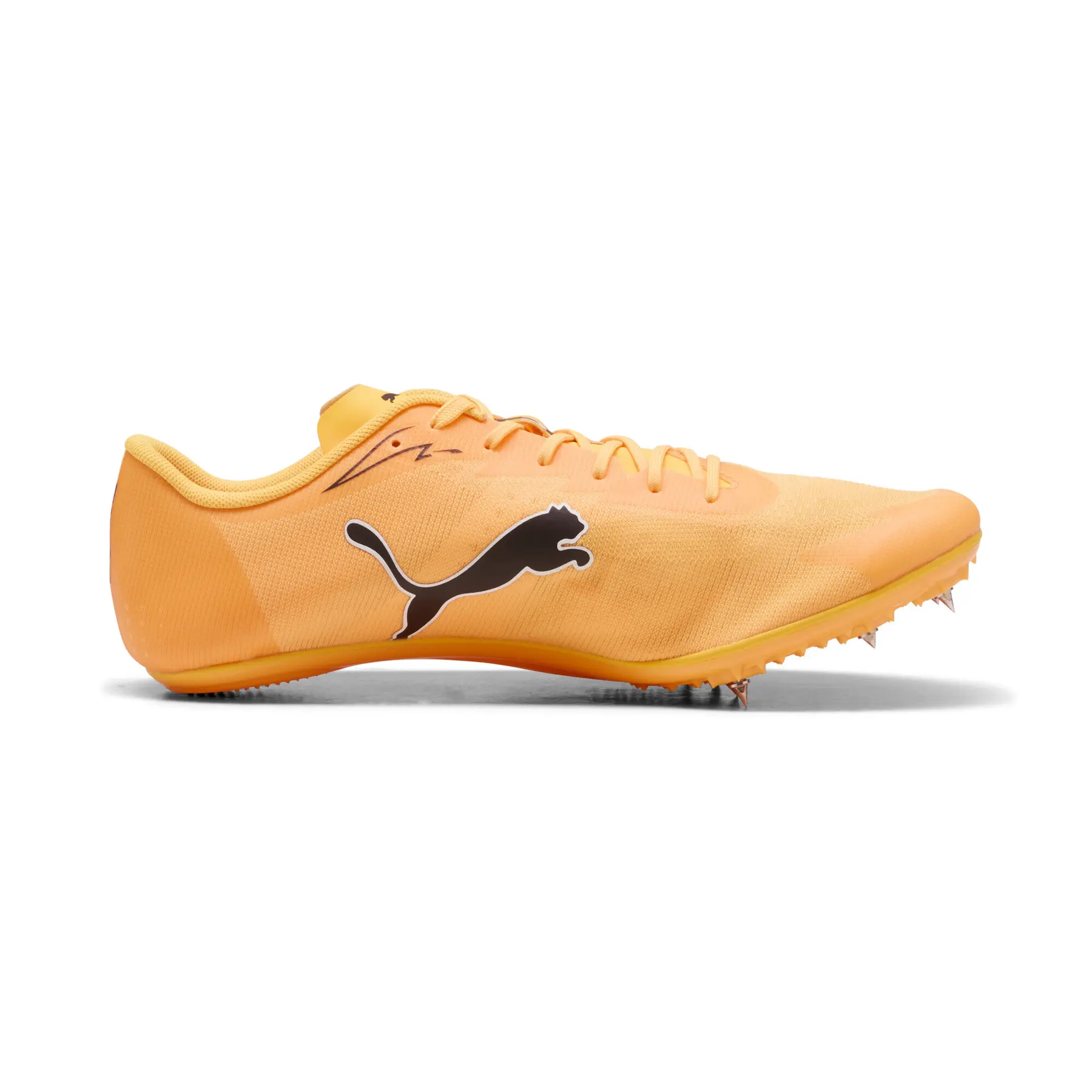 Spikes Leichtathletikschuhe Puma