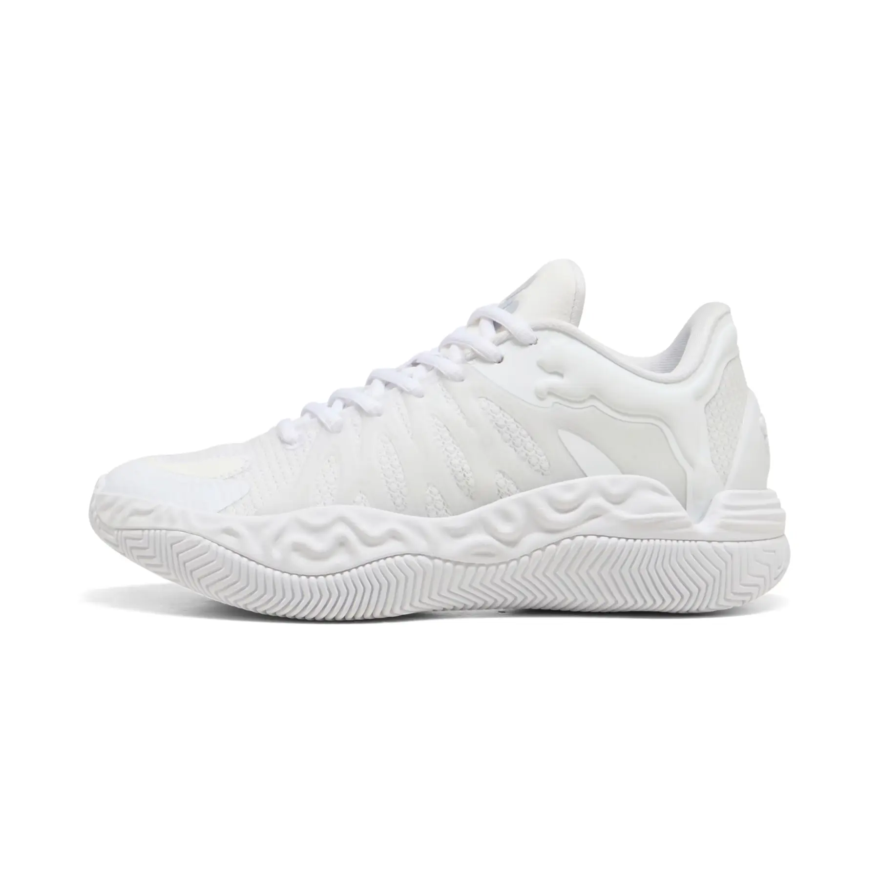 Basketballschuhe Kind Puma Hali 1 GS