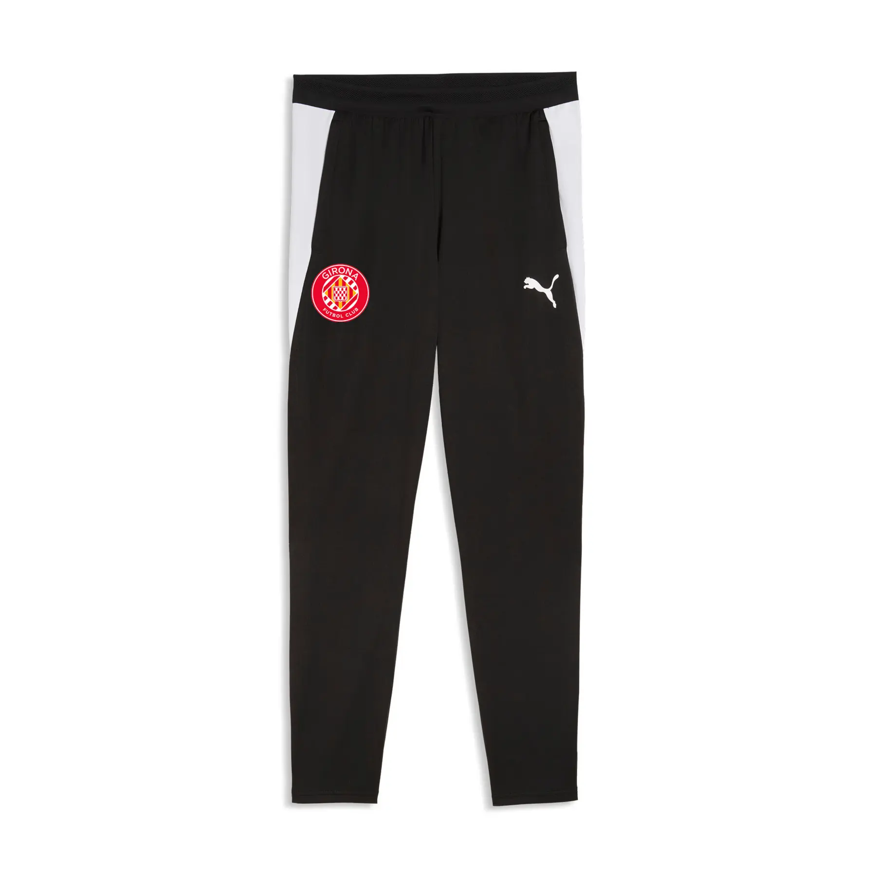 Trainingshose Puma teamFINAL26