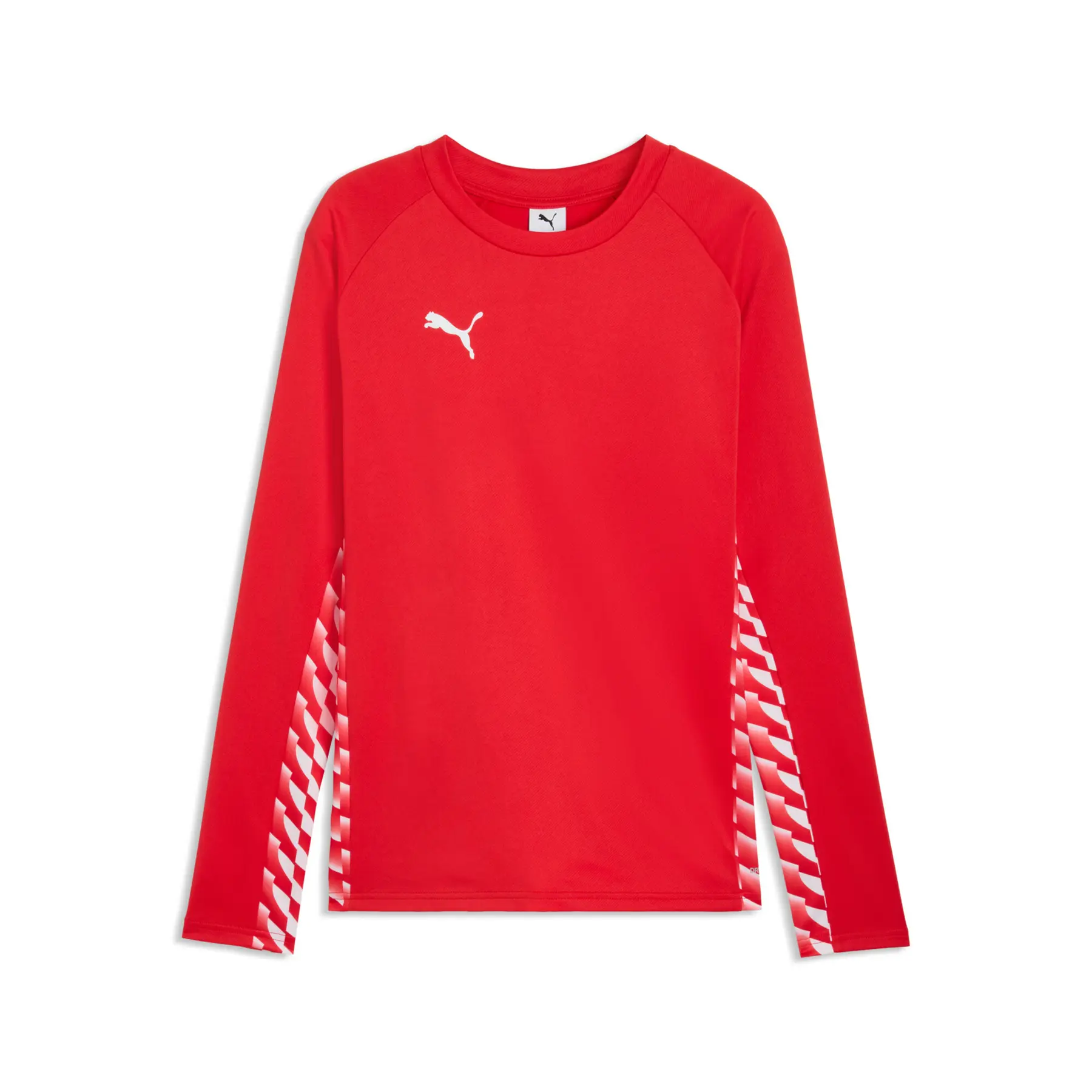 Langarmshirt Puma TeamLIGA26
