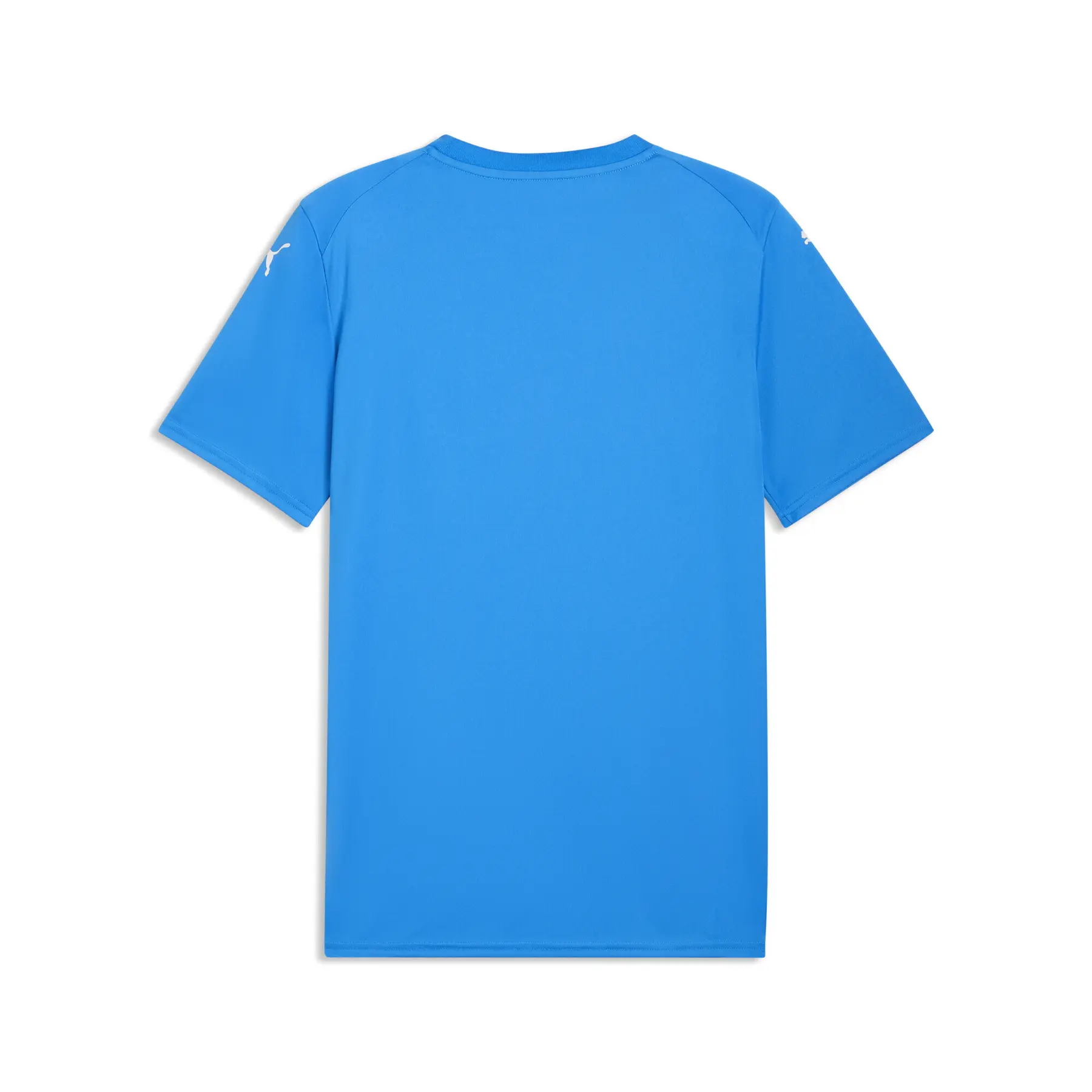 Puma Team Final Graphic Trikot