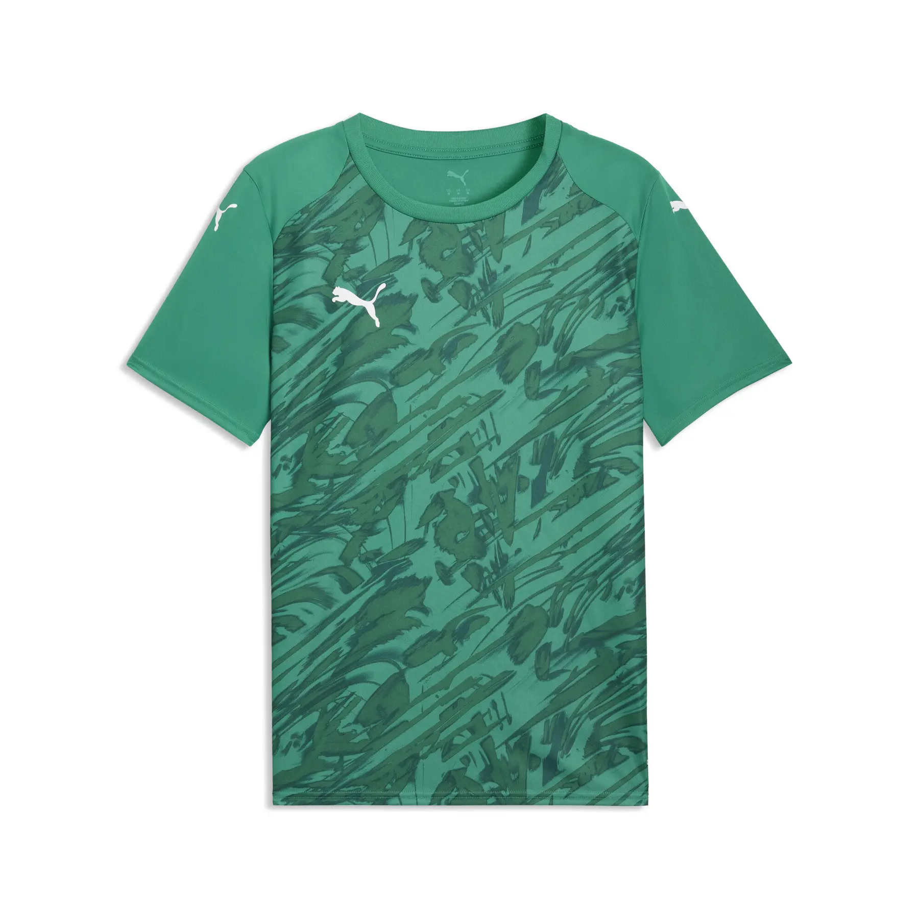 Puma Team Final Graphic Trikot