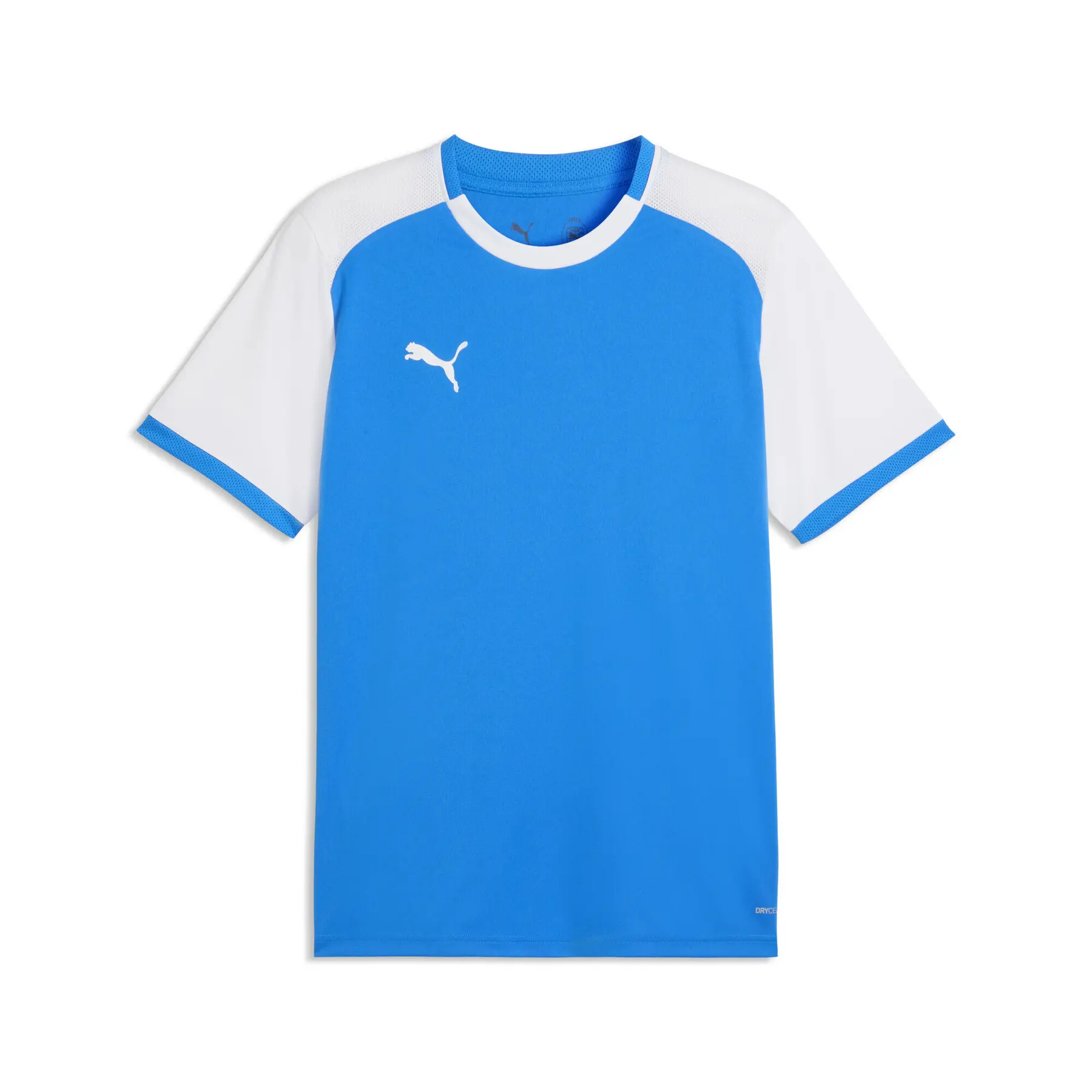 Puma Team Liga 26 Trikot